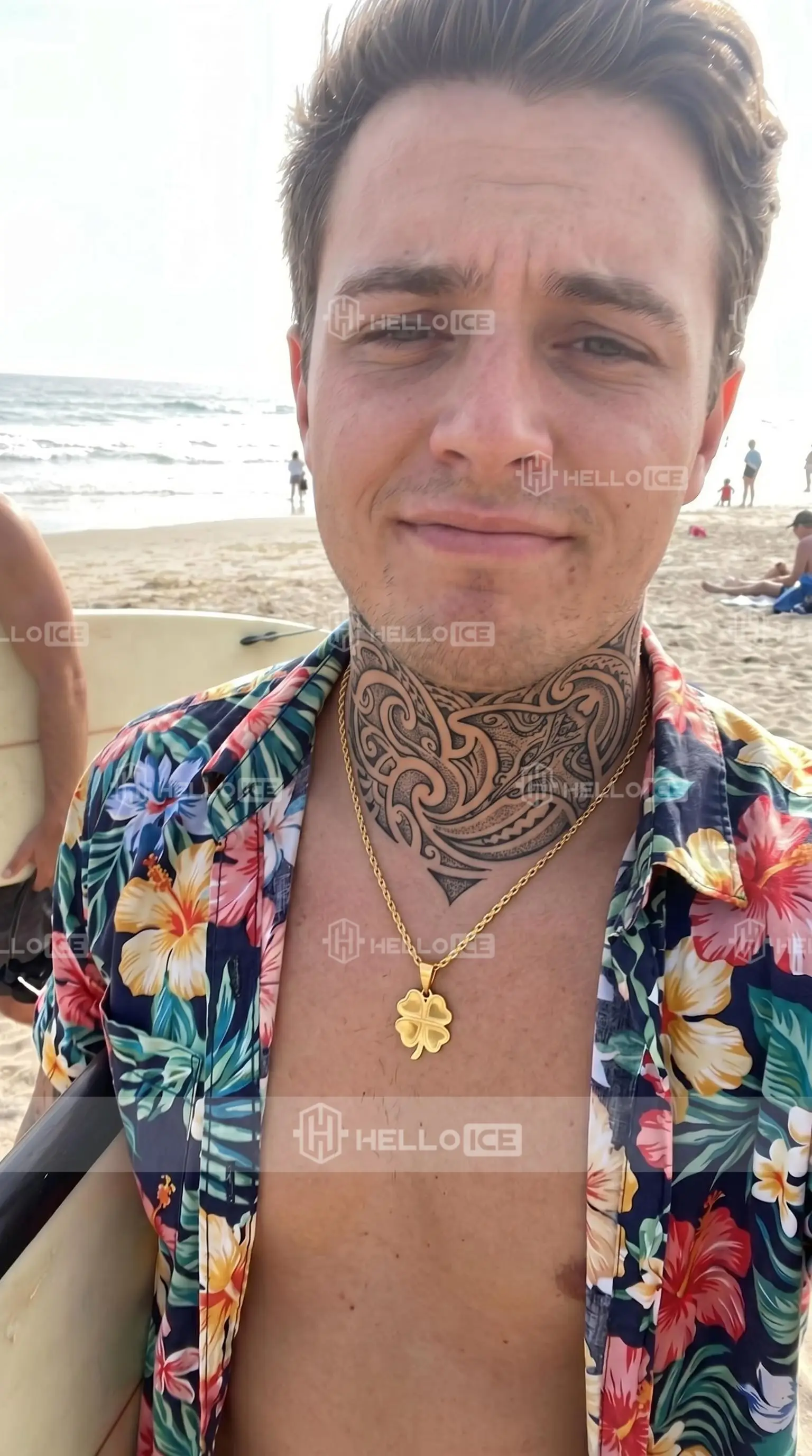 Helloice Review Image
