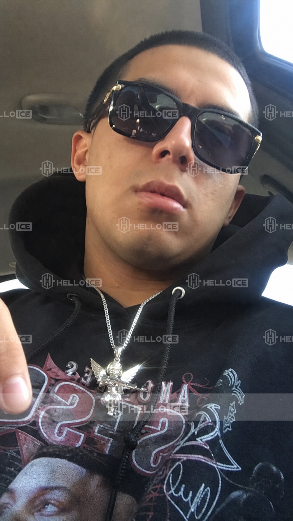 Helloice Review Image