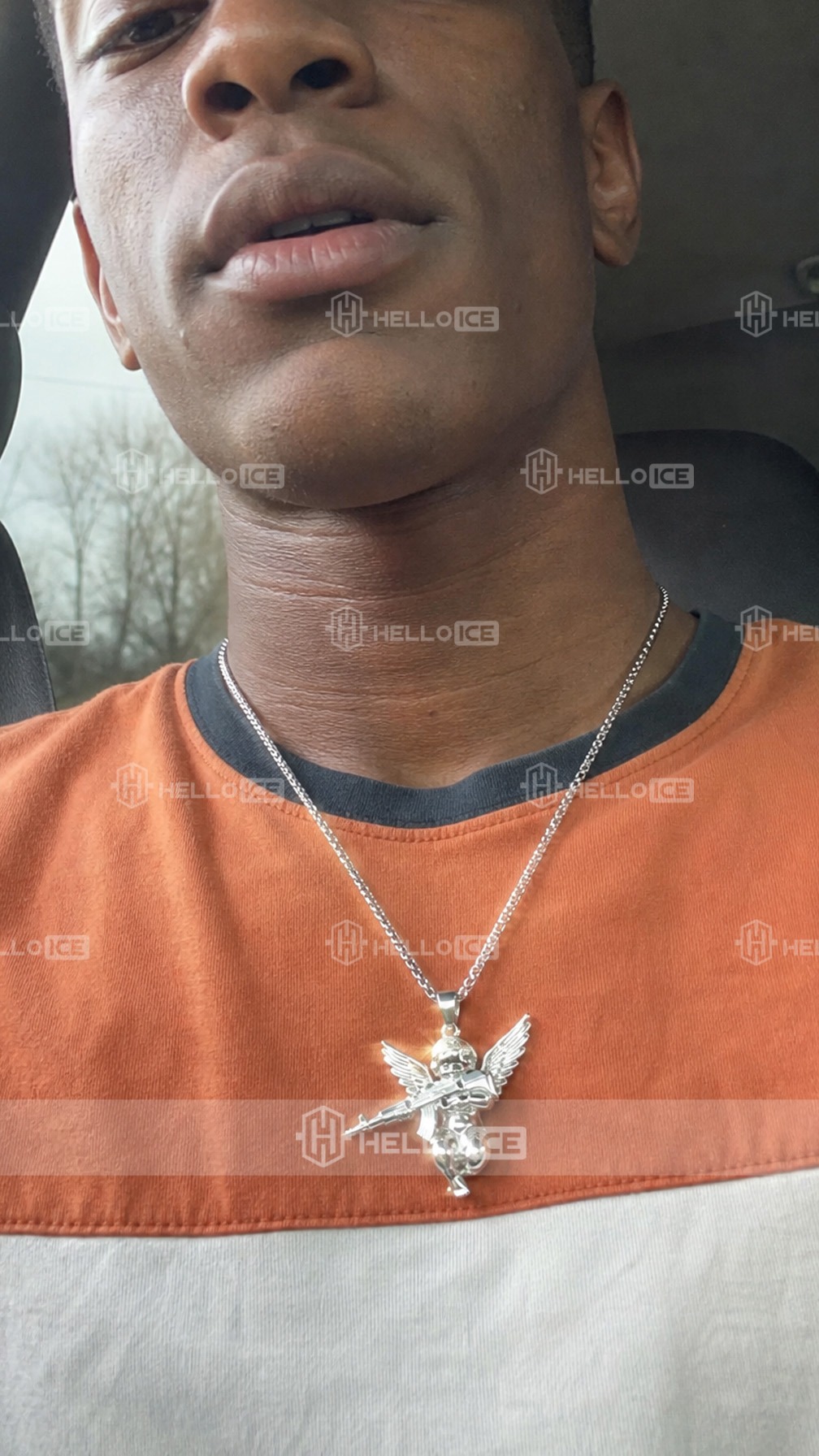 Helloice Review Image