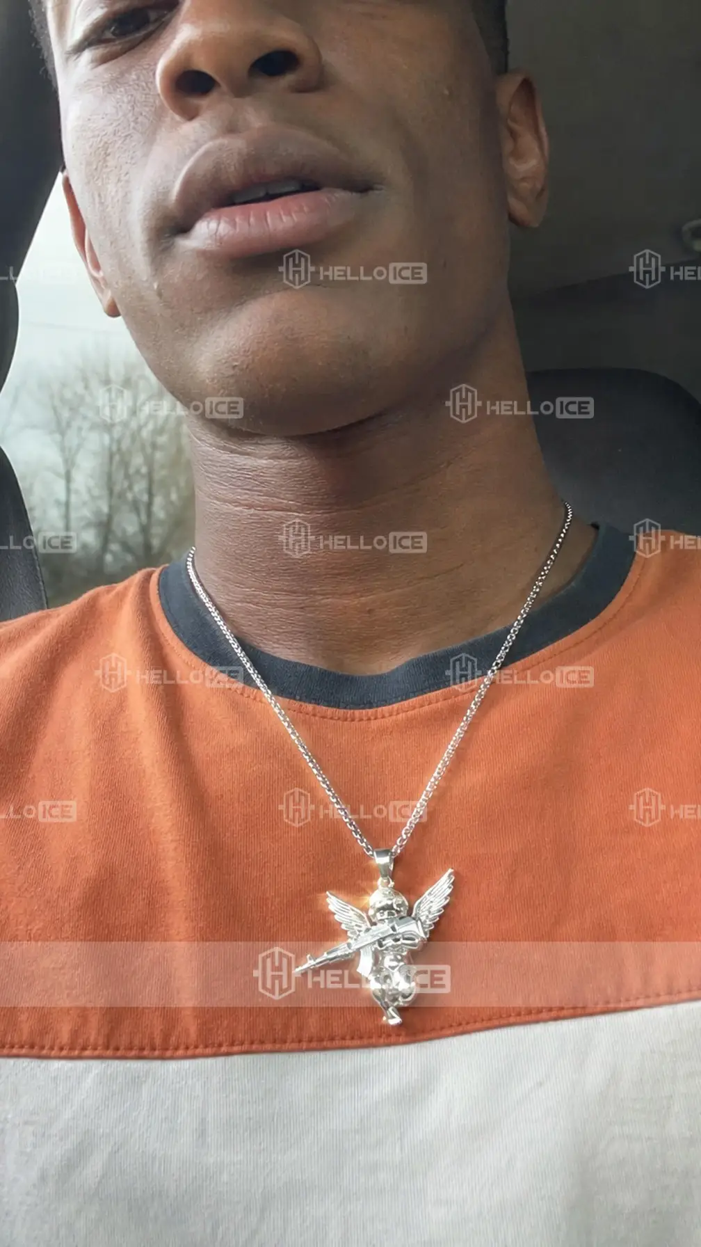 Helloice Review Image