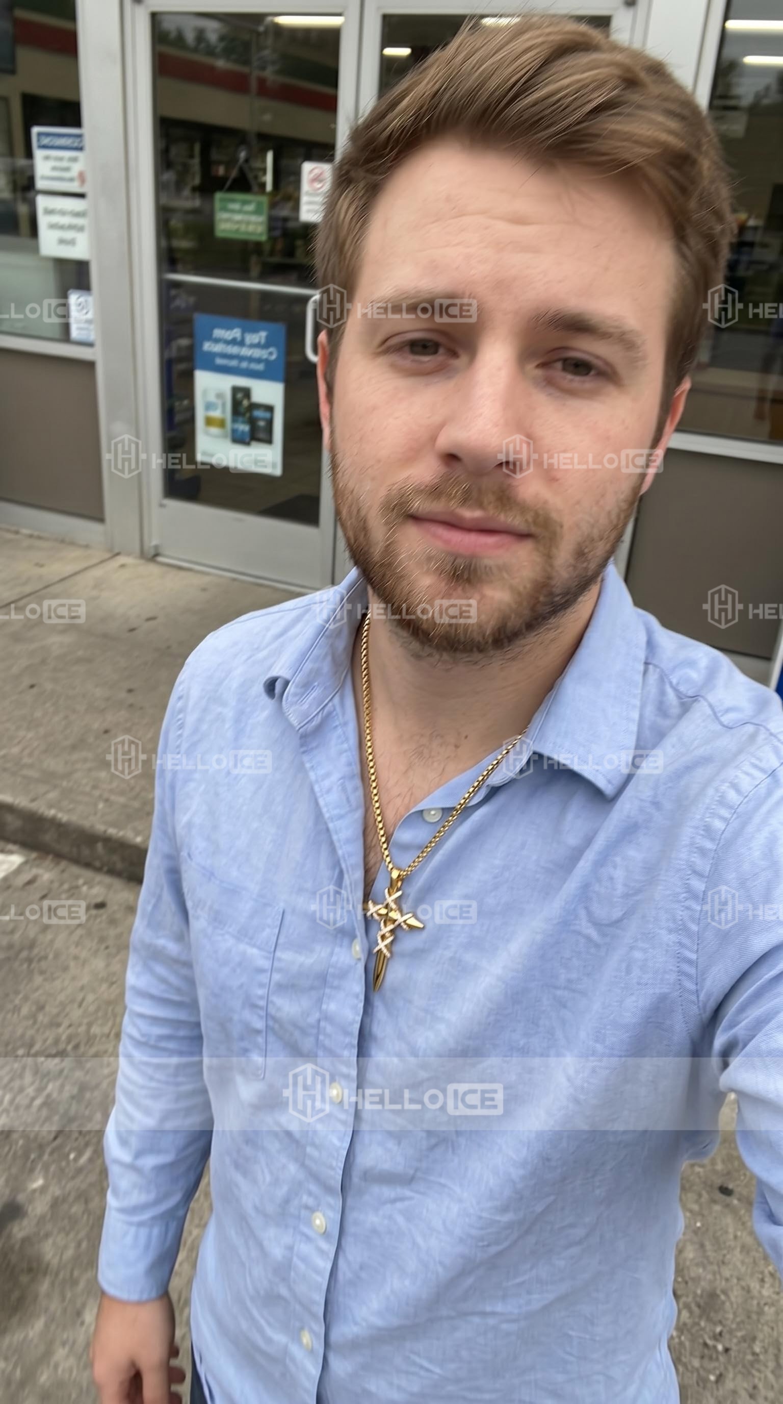 Helloice Review Image