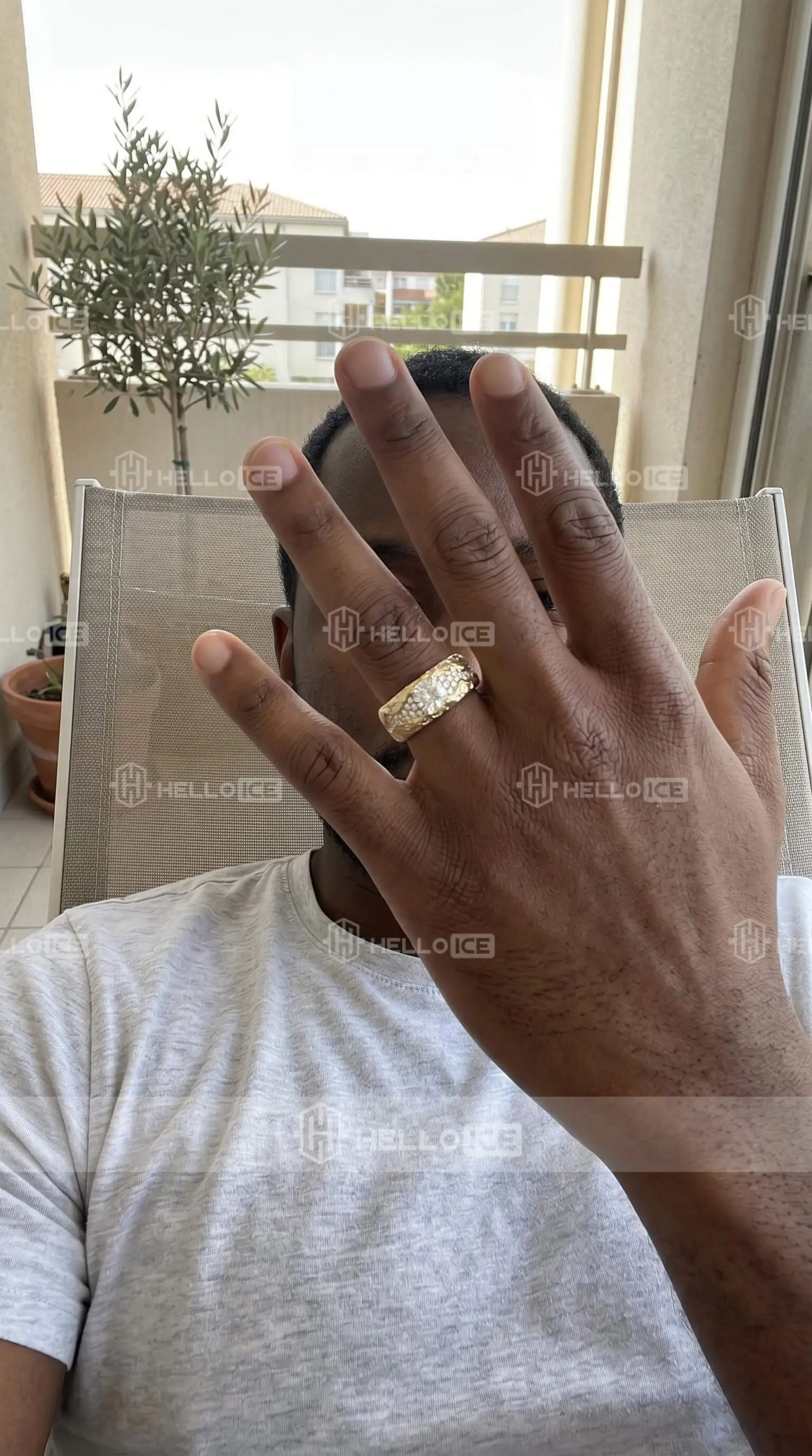 Helloice Review Image