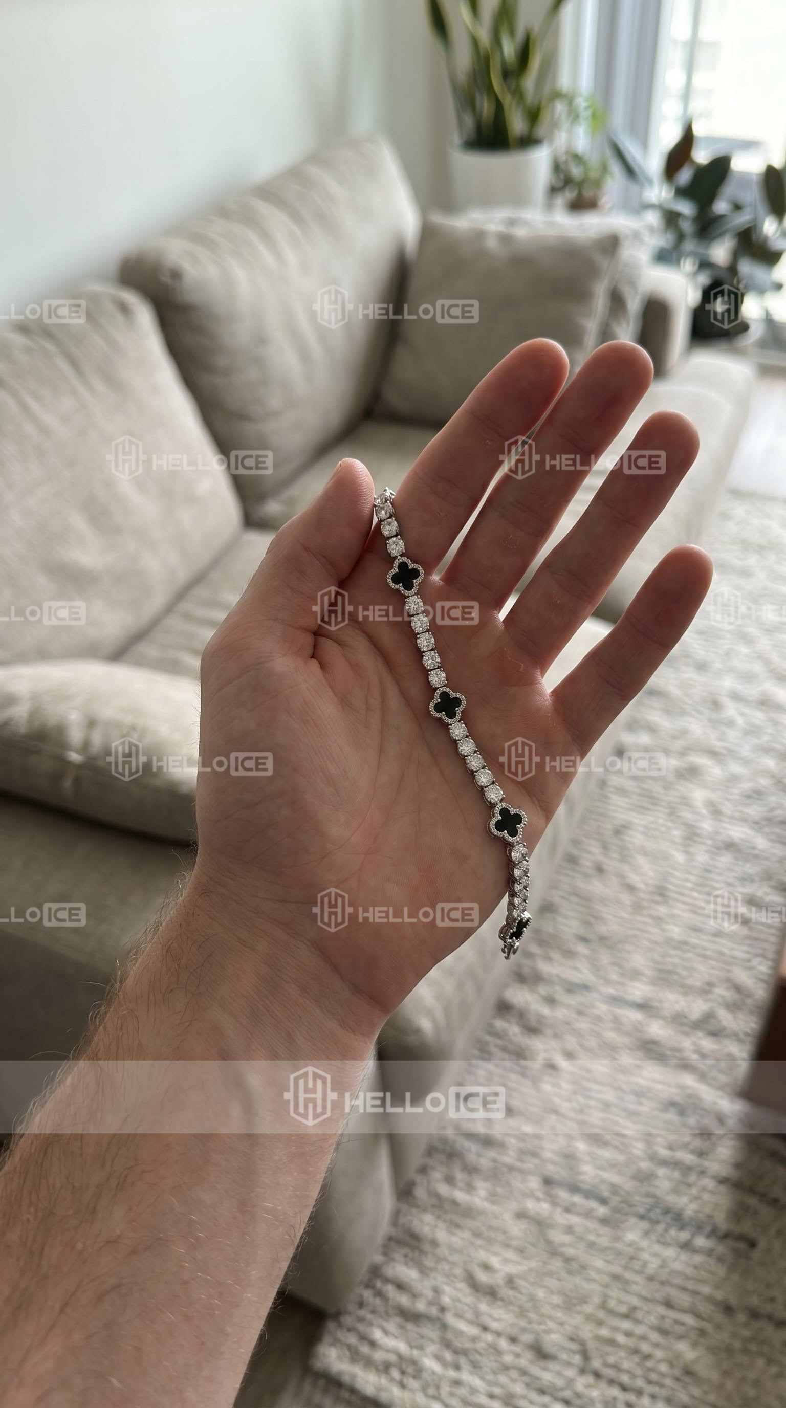 Helloice Review Image