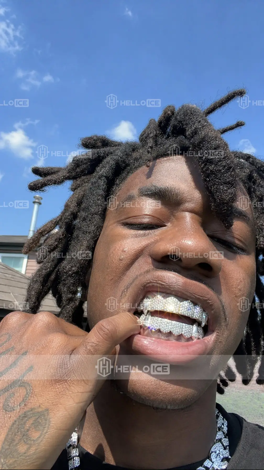 Helloice Review Image