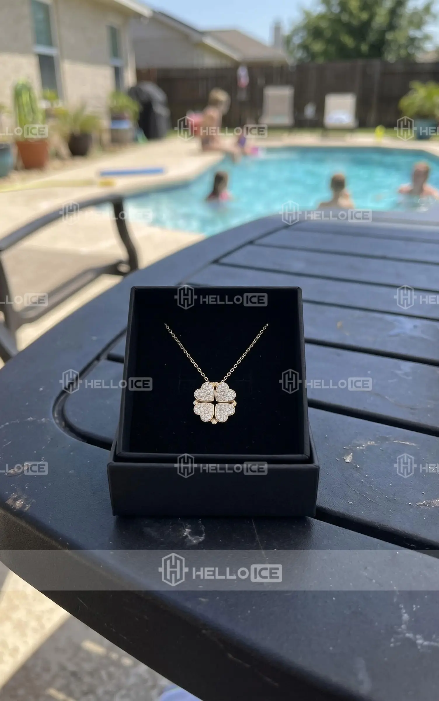 Helloice Review Image