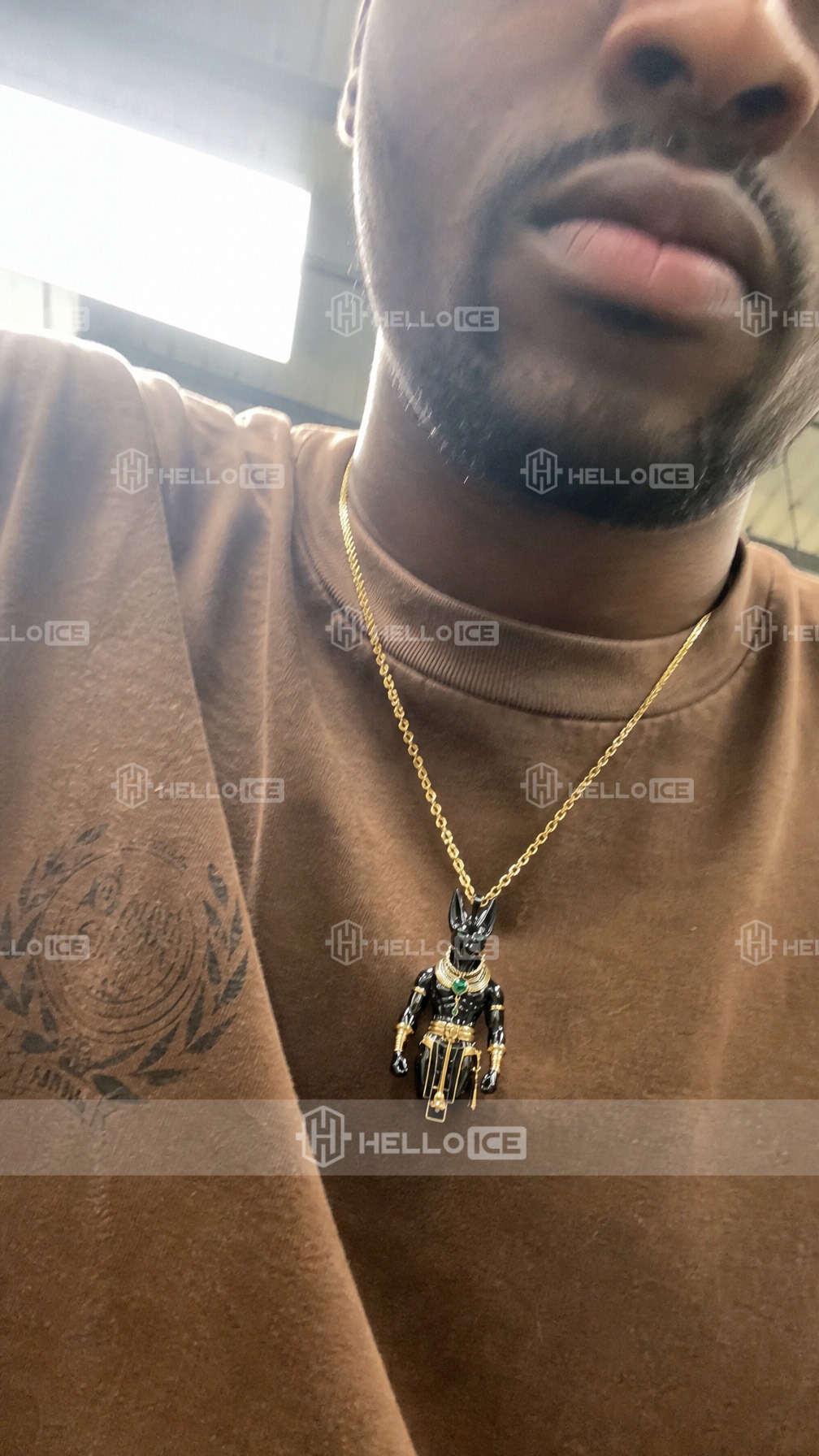 Helloice Review Image