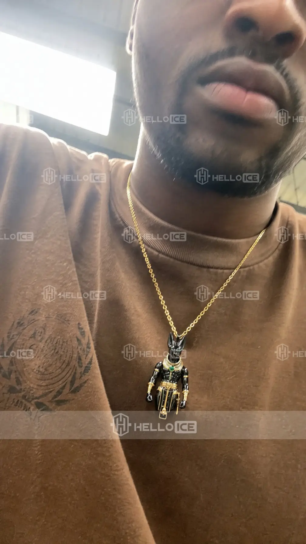 Helloice Review Image