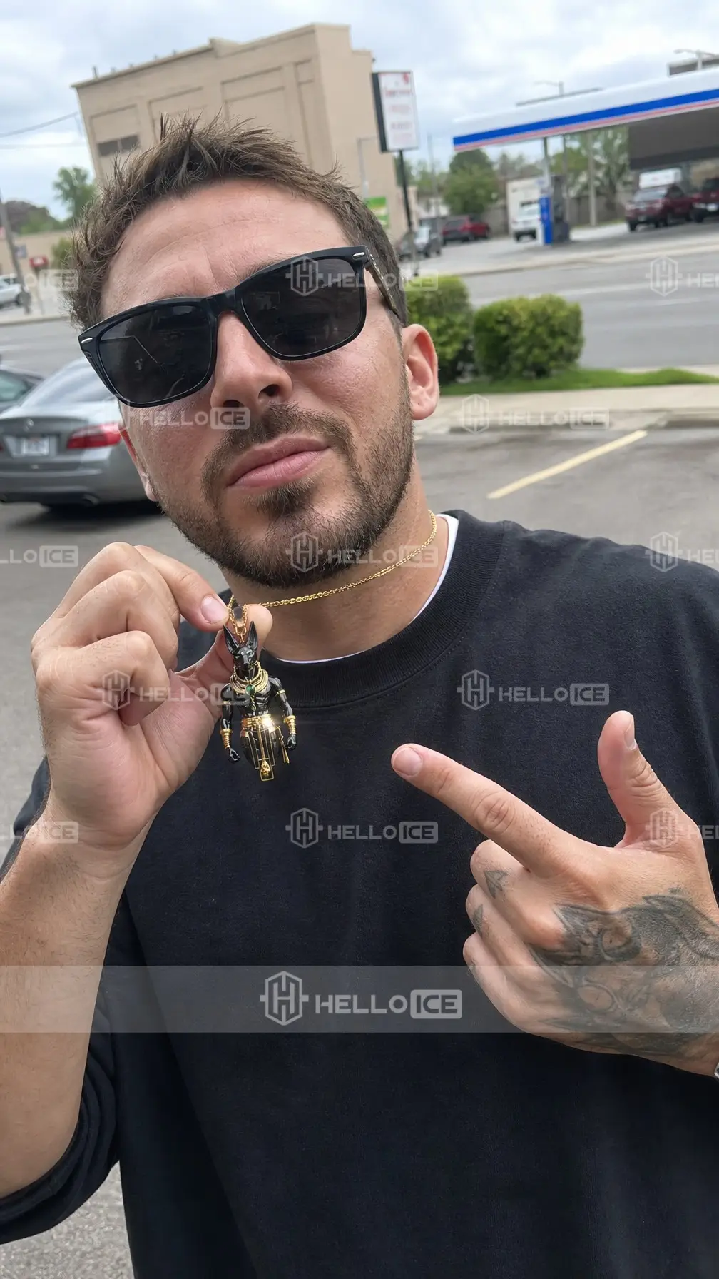 Helloice Review Image