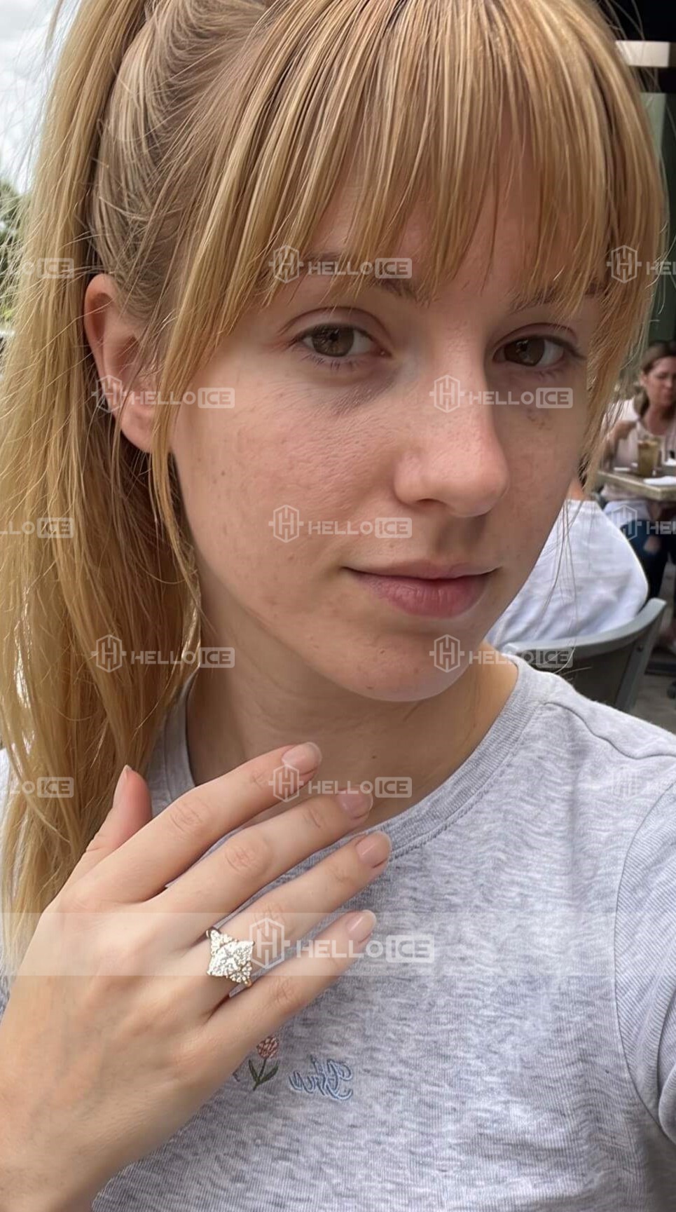 Helloice Review Image