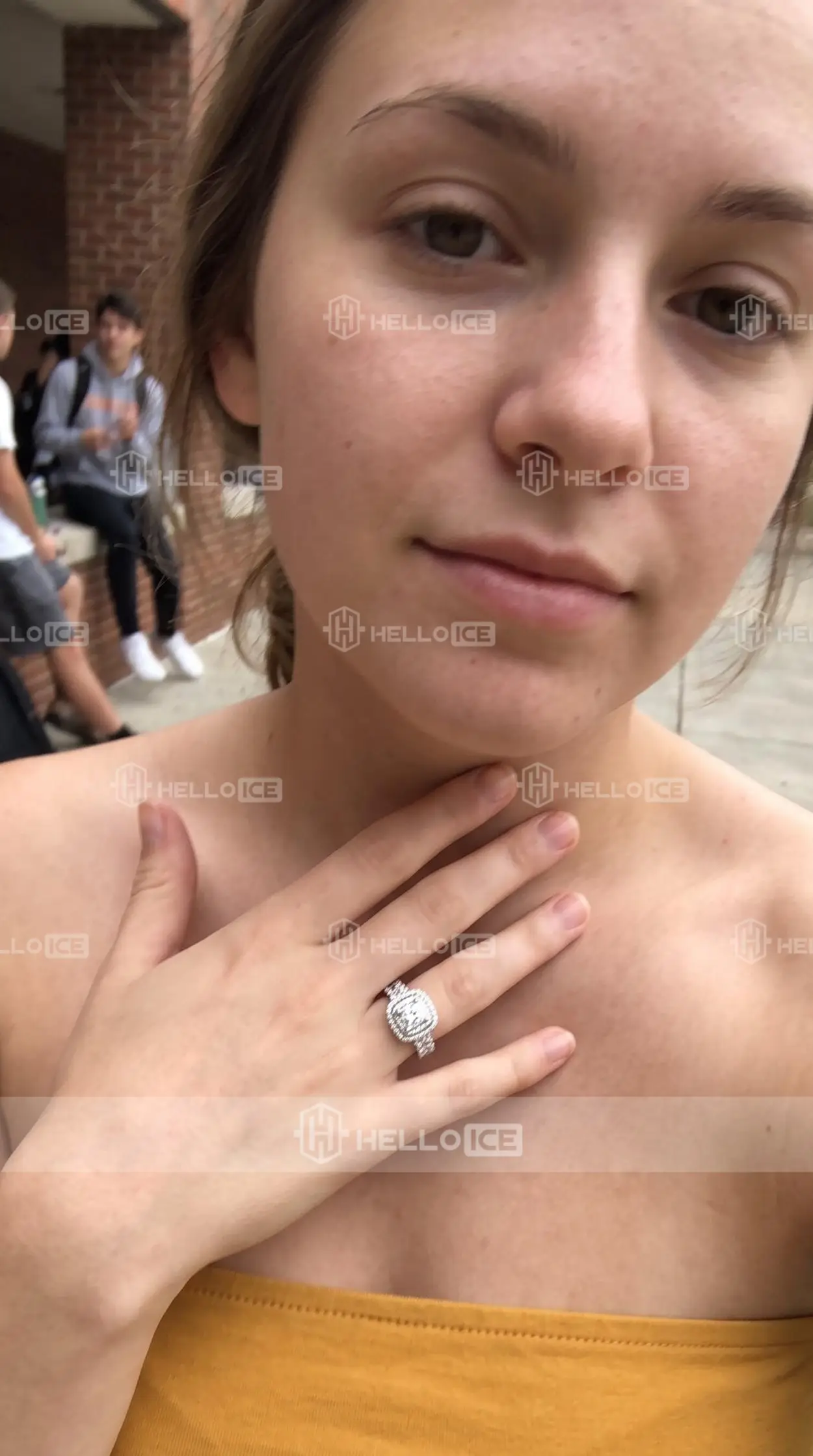 Helloice Review Image