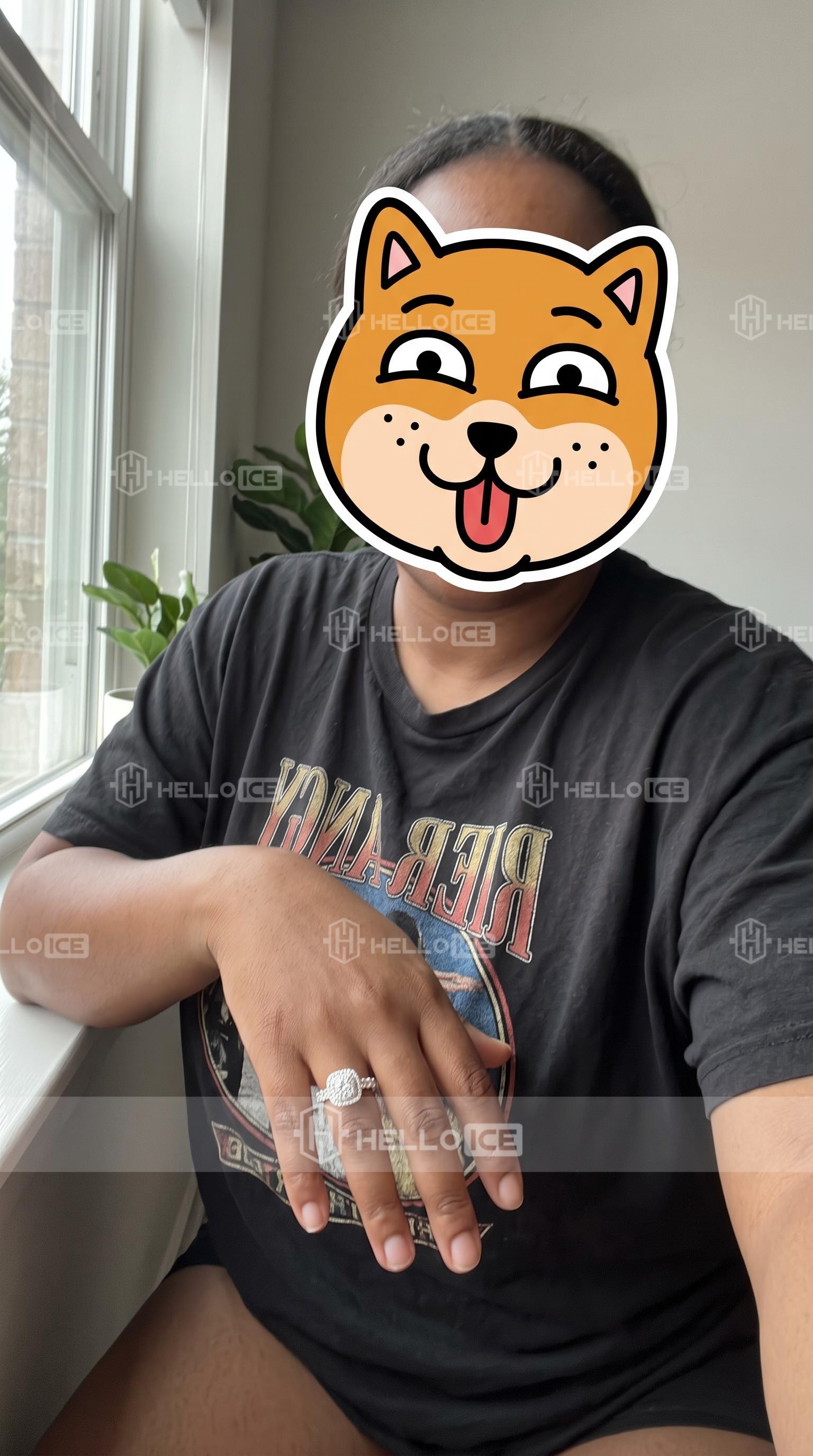 Helloice Review Image