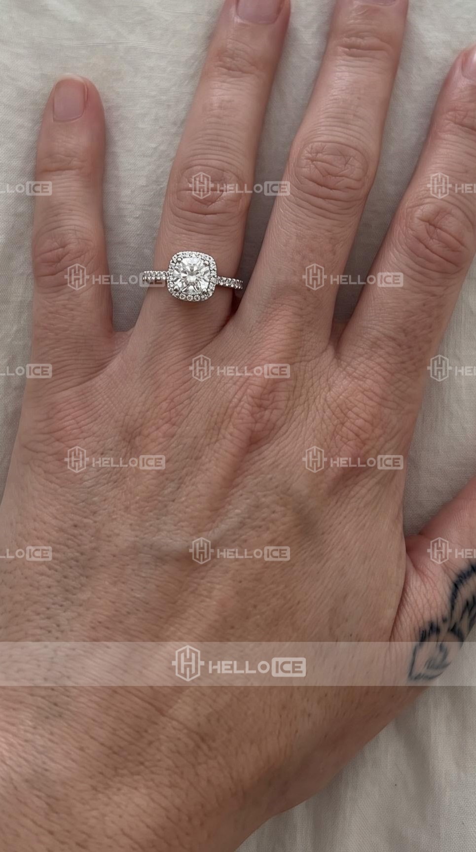 Helloice Review Image