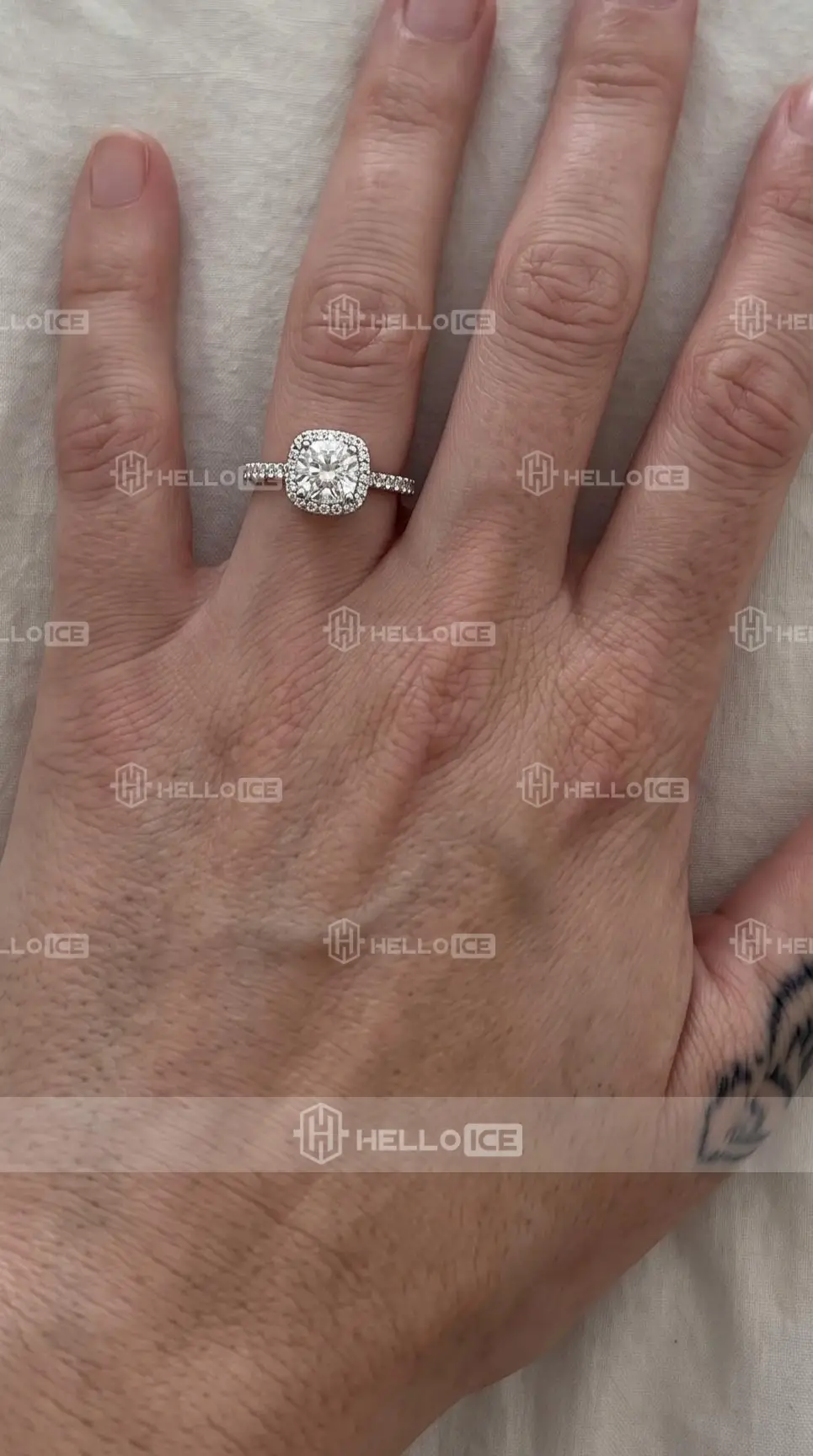 Helloice Review Image