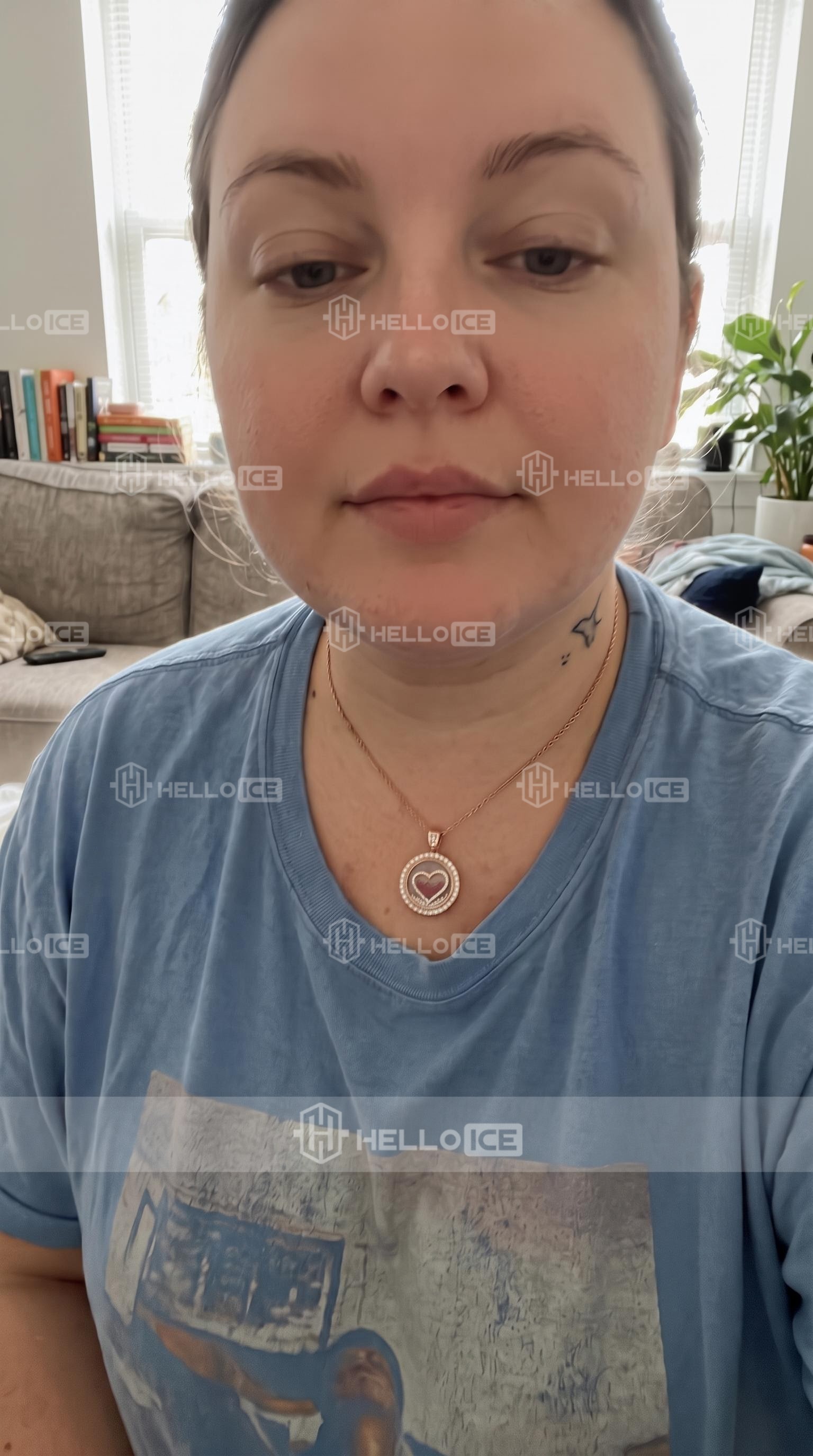 Helloice Review Image