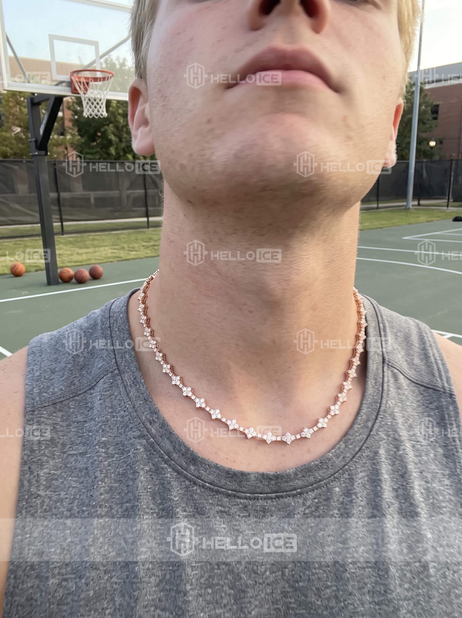 Helloice Review Image