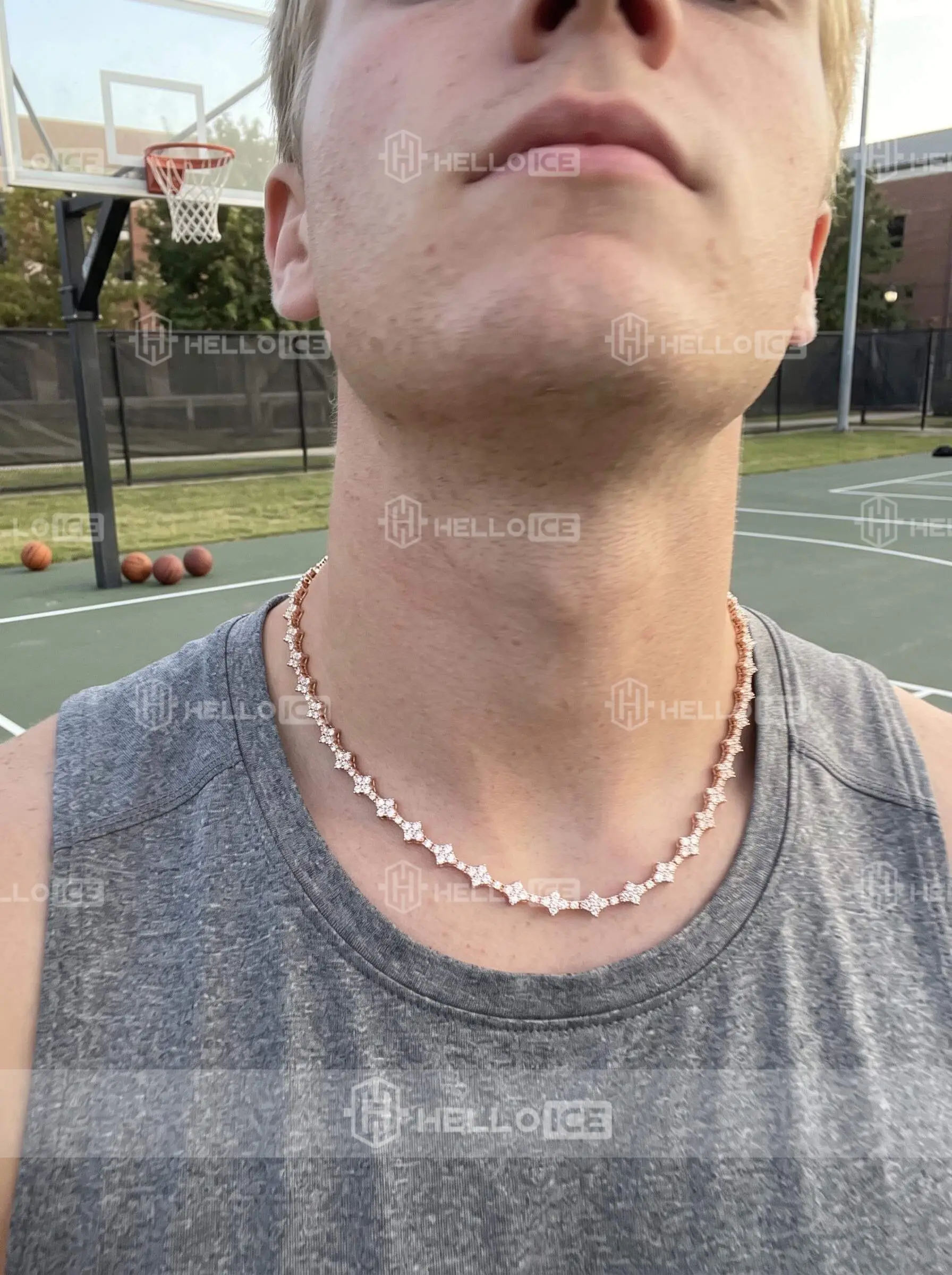 Helloice Review Image