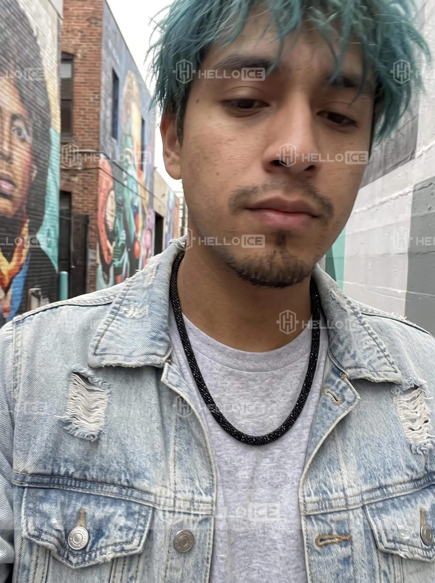 Helloice Review Image
