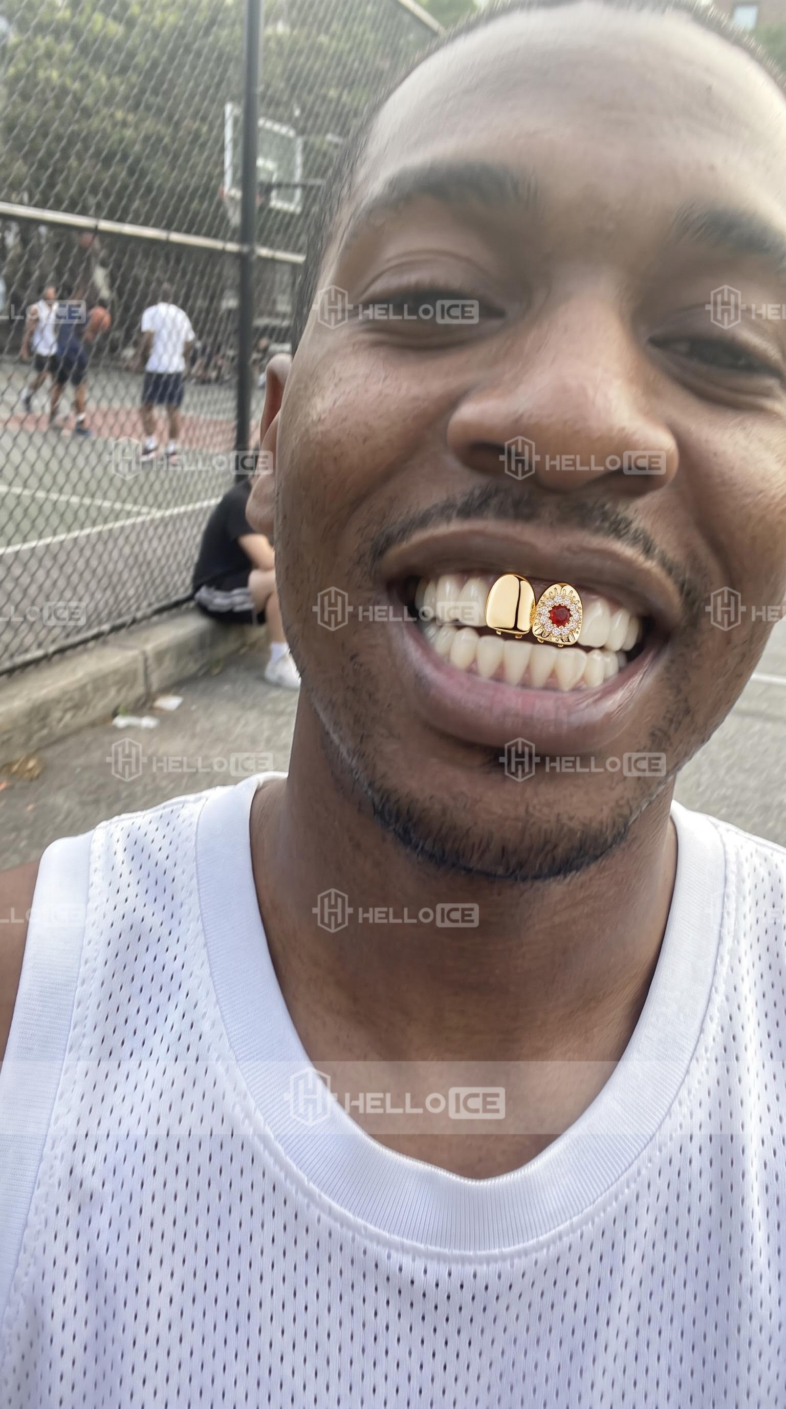 Helloice Review Image