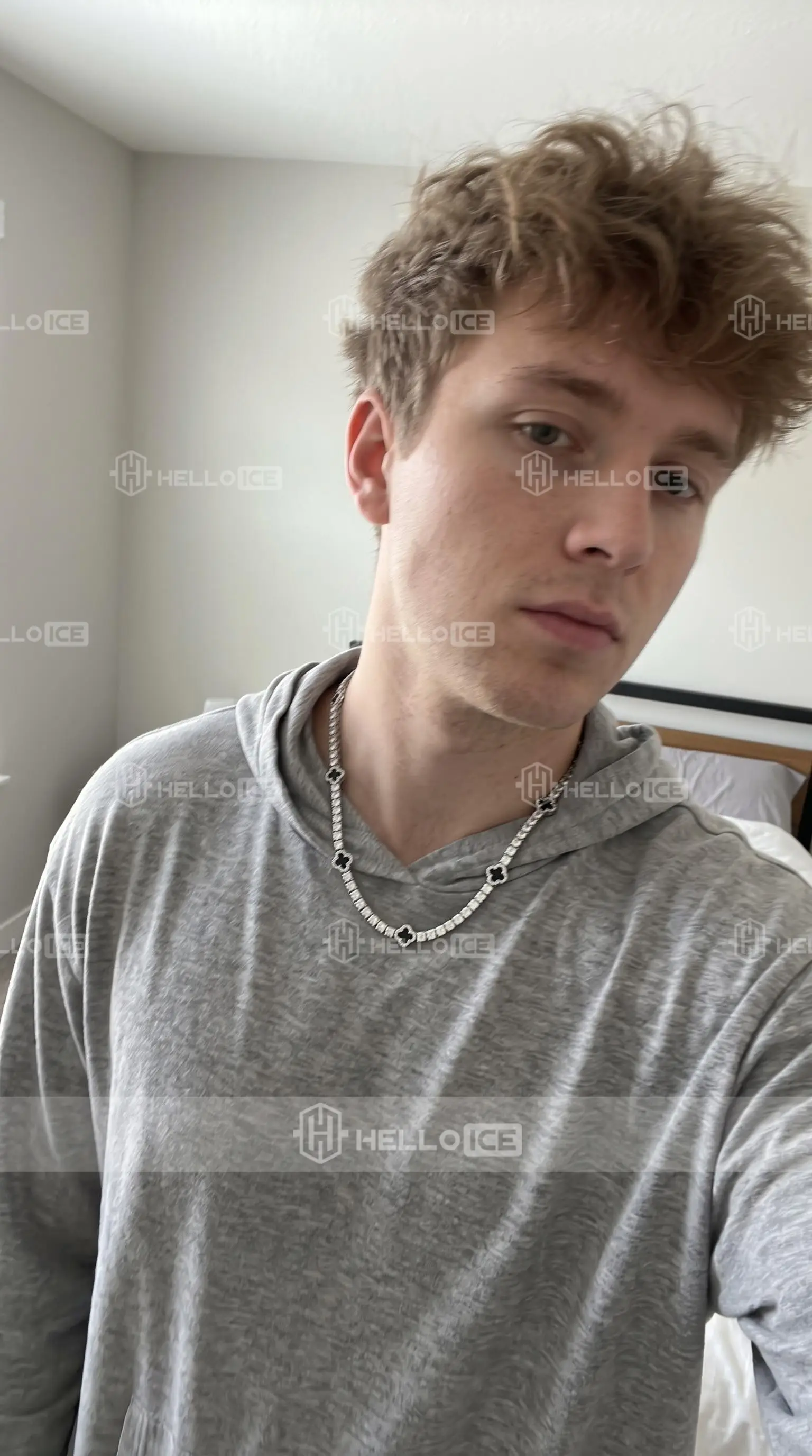 Helloice Review Image
