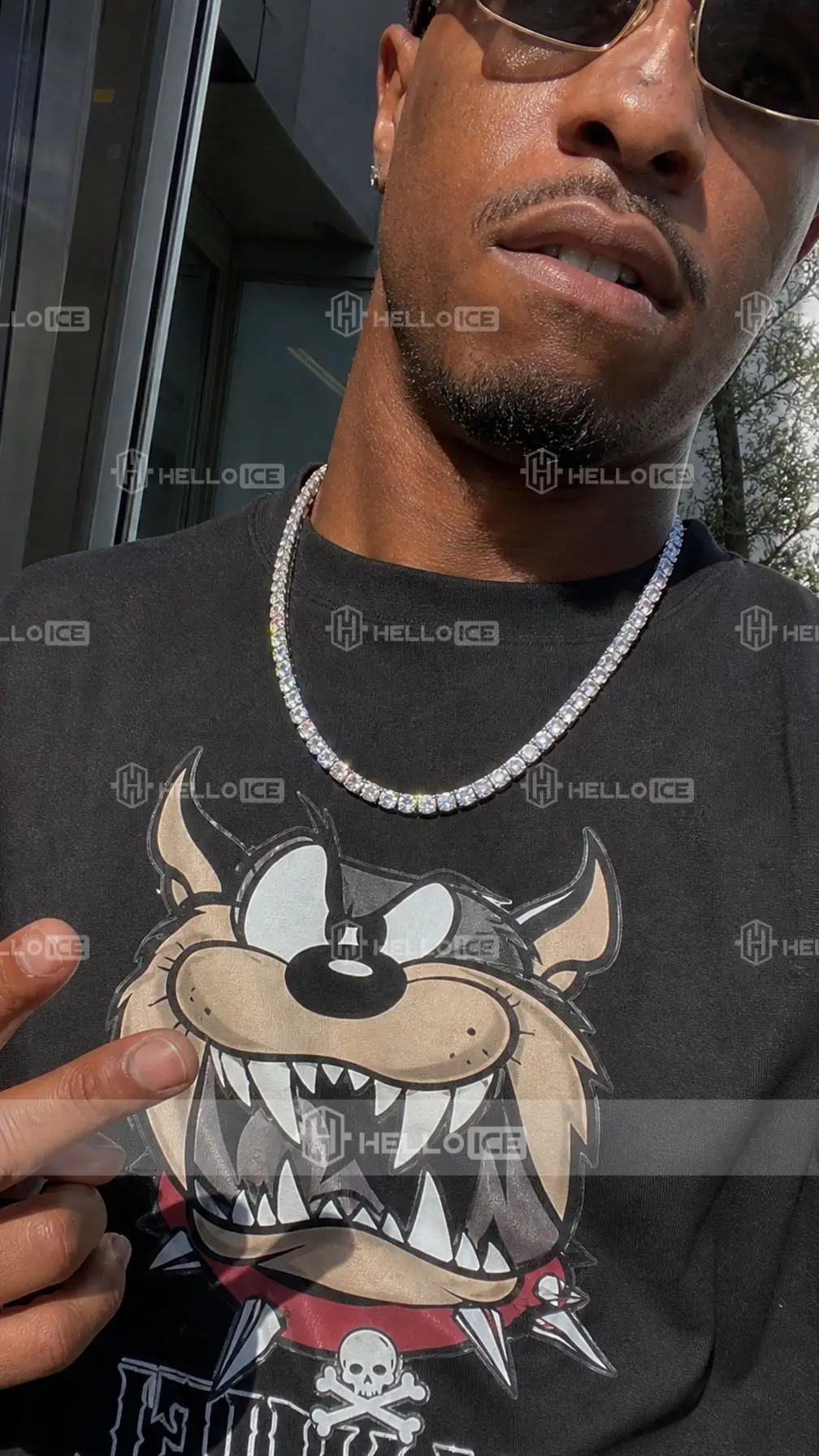 Helloice Review Image