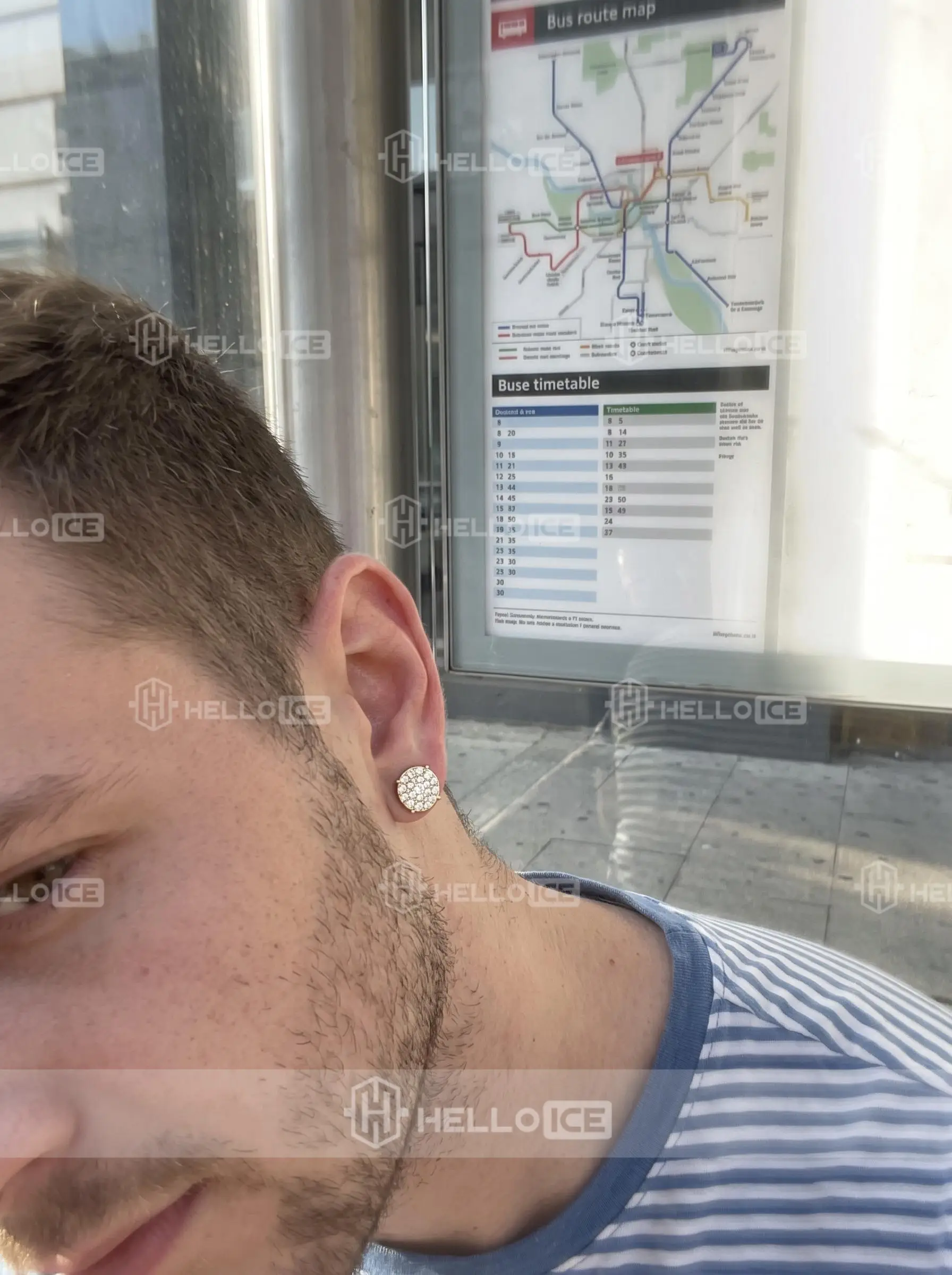 Helloice Review Image