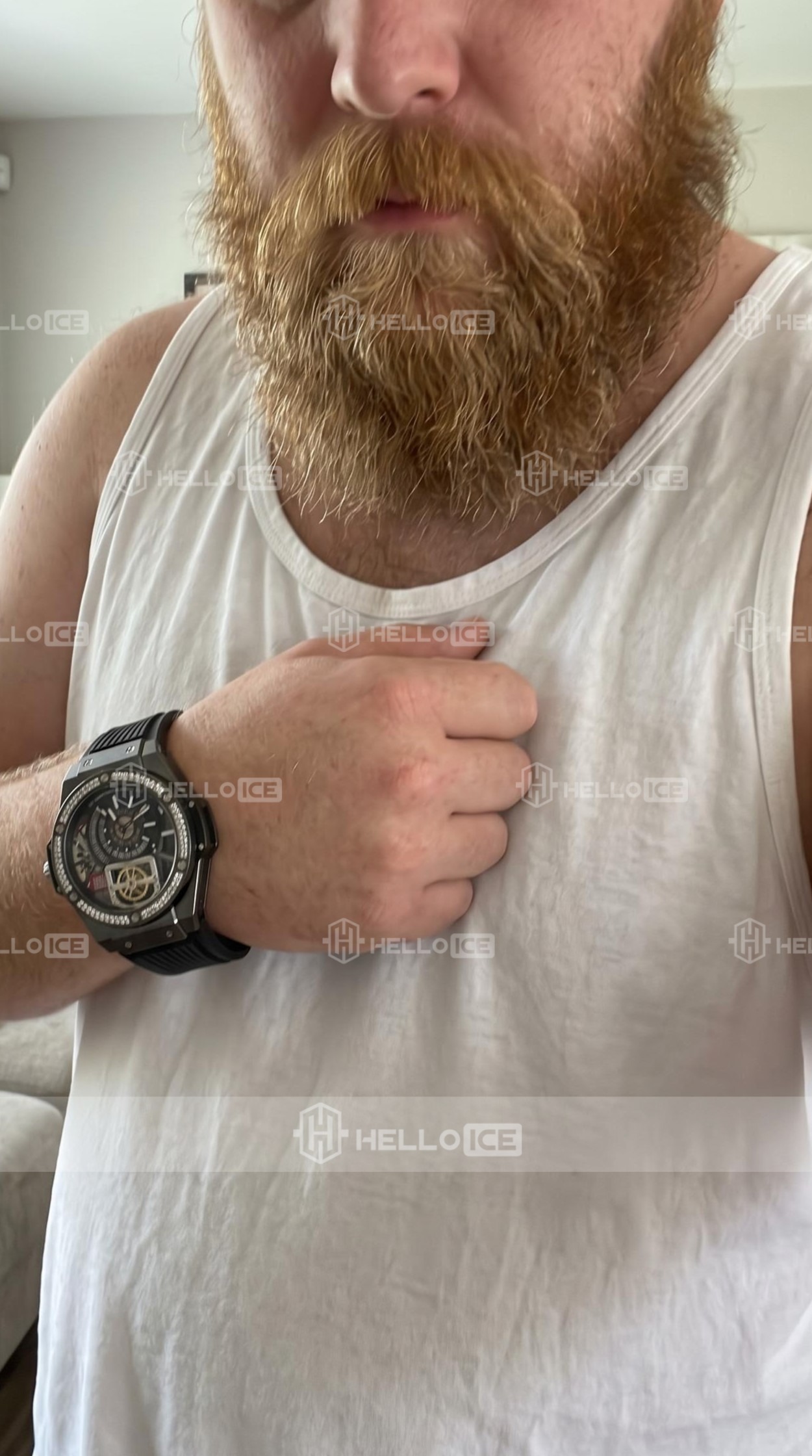 Helloice Review Image