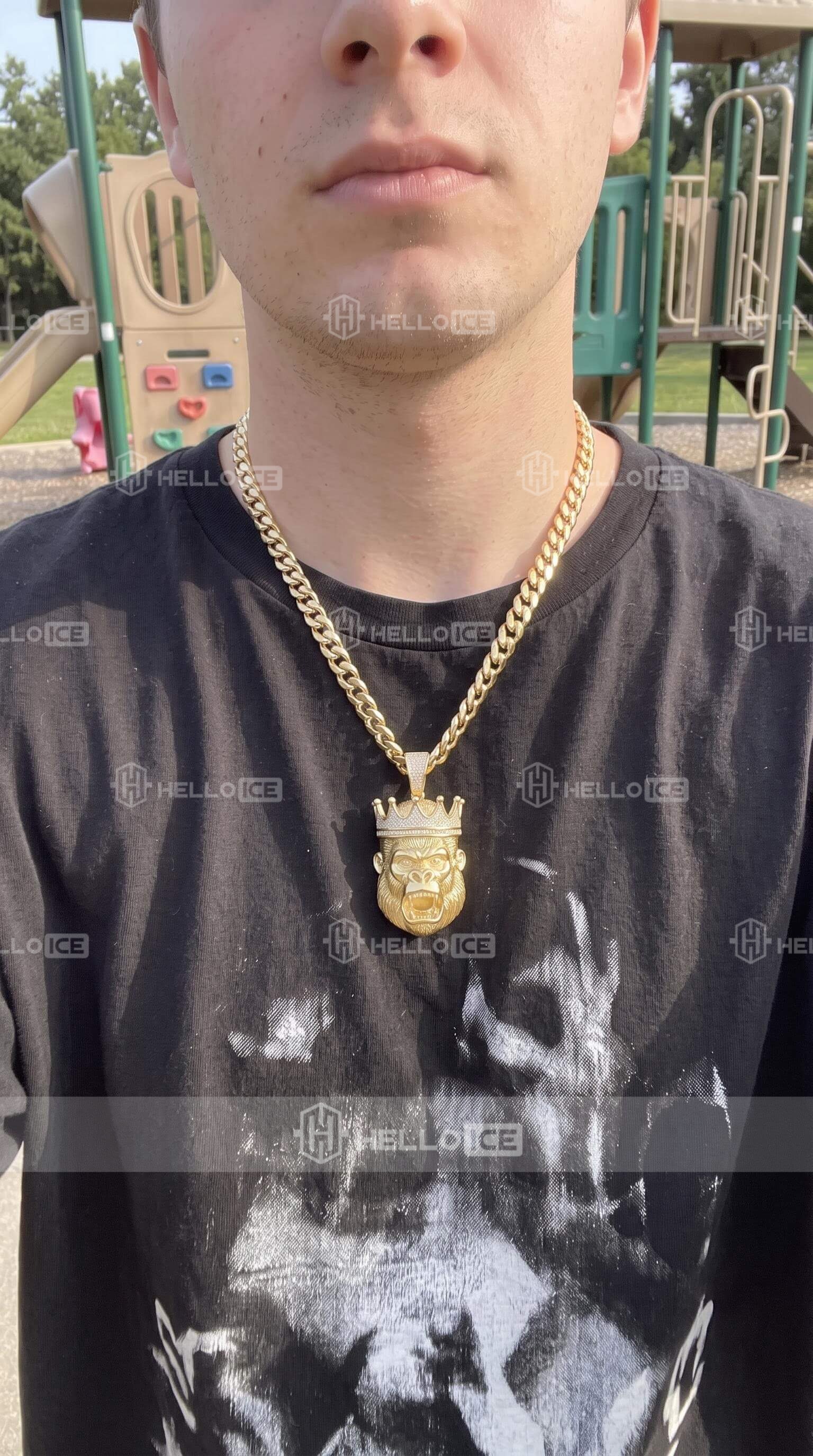 Helloice Review Image
