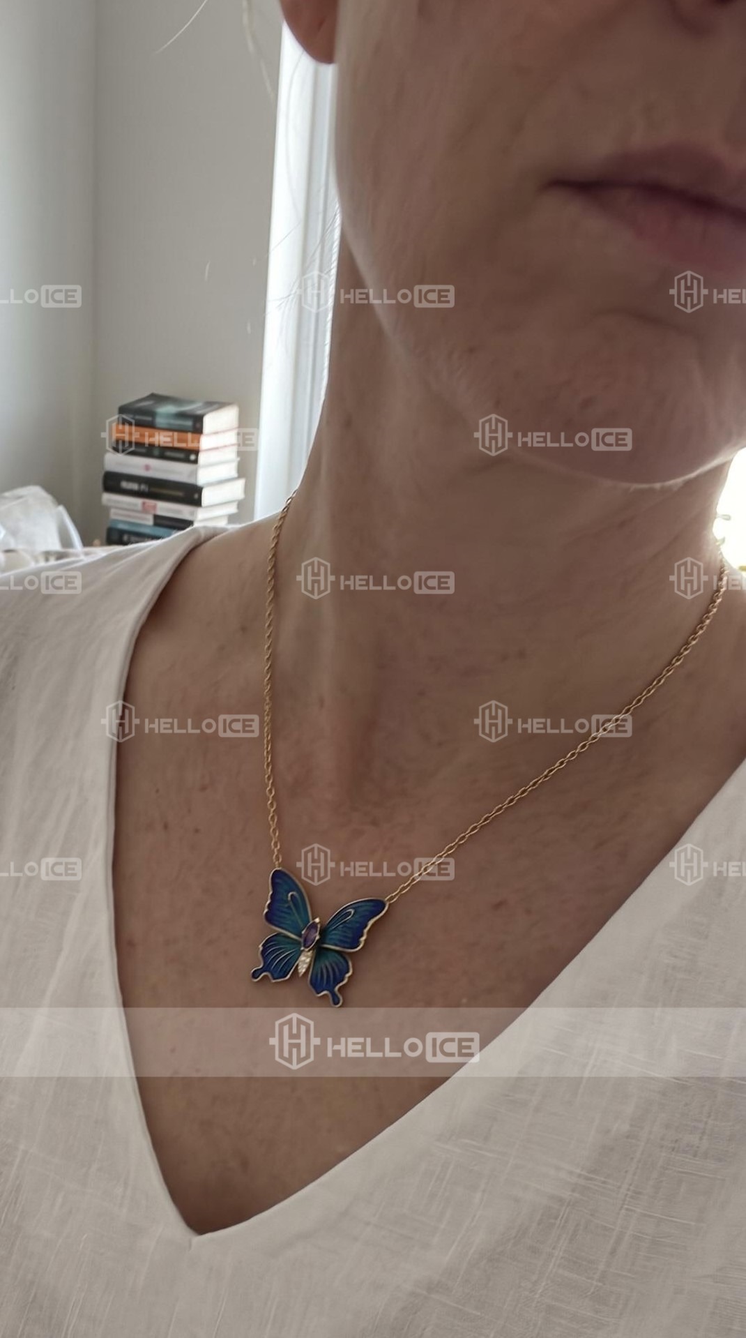 Helloice Review Image