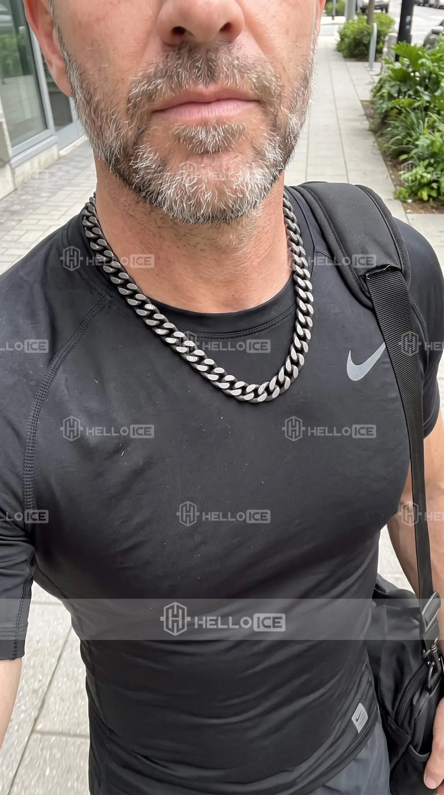 Helloice Review Image