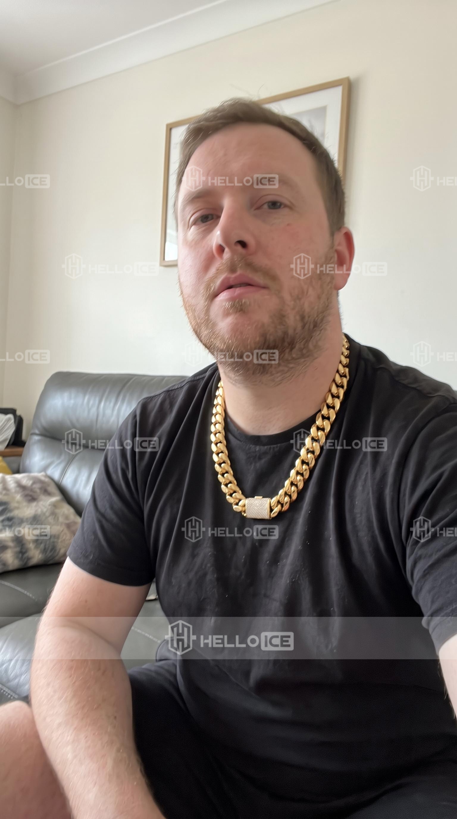 Helloice Review Image