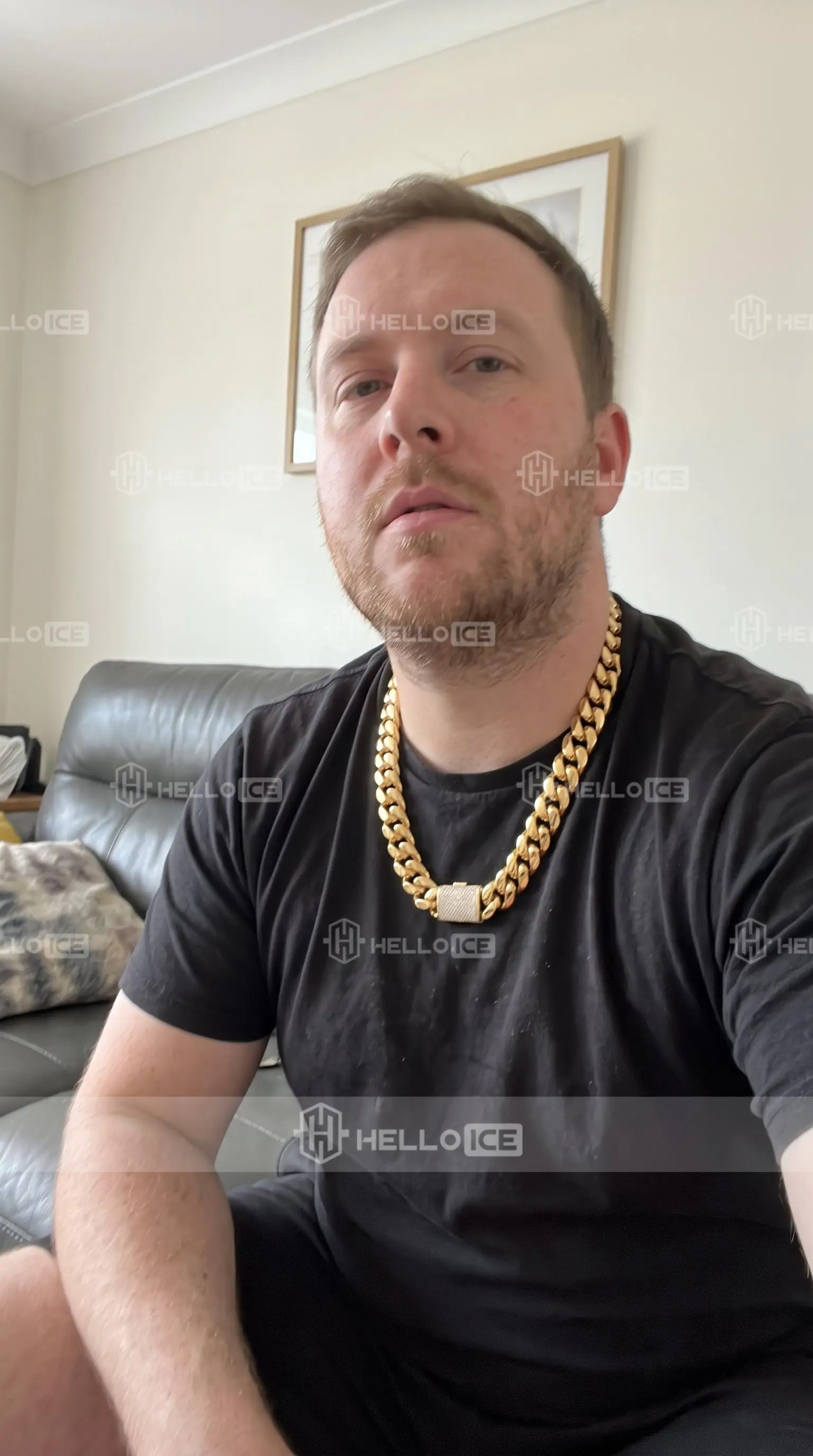 Helloice Review Image