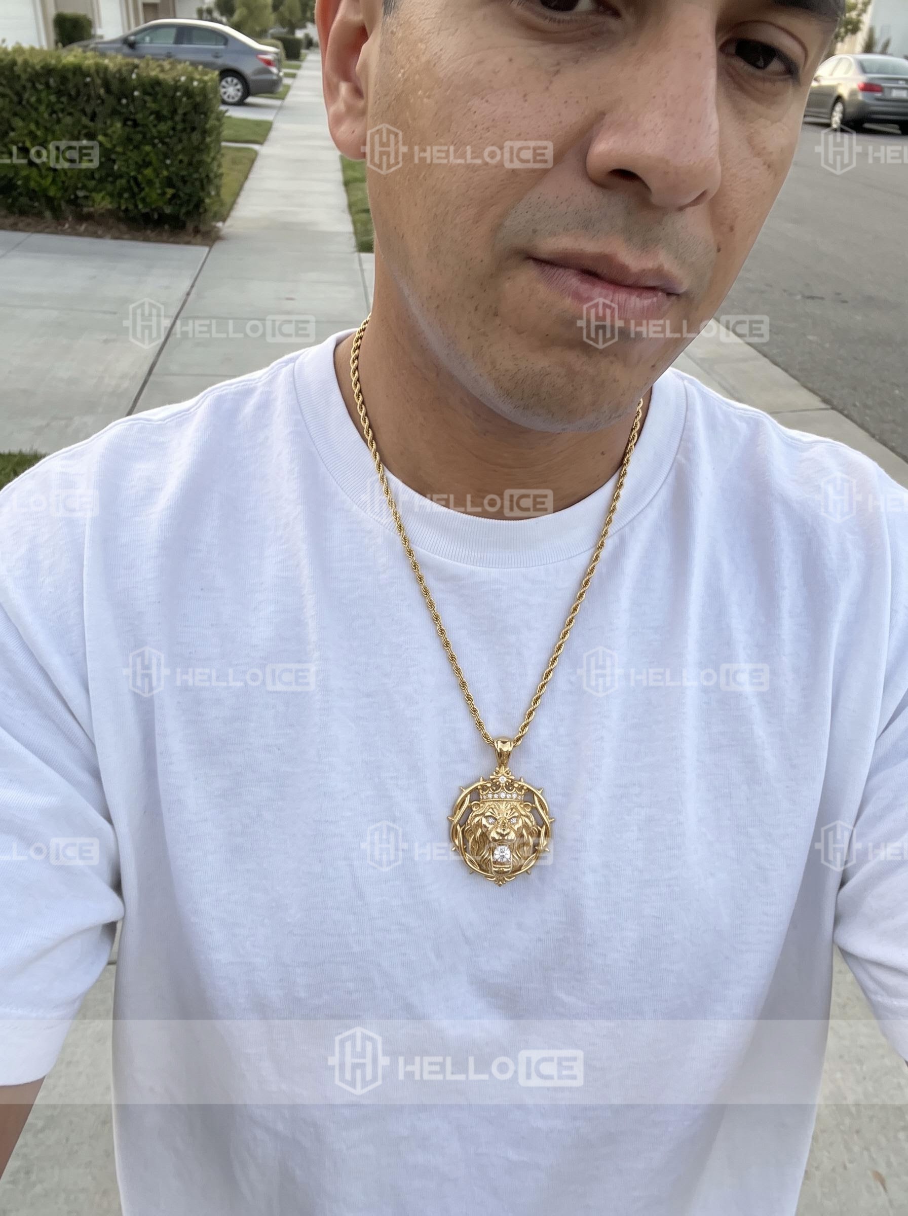 Helloice Review Image