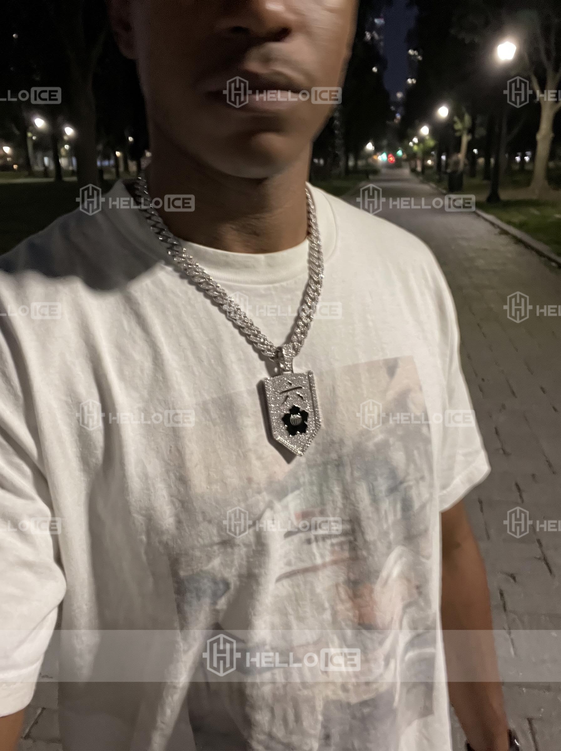 Helloice Review Image