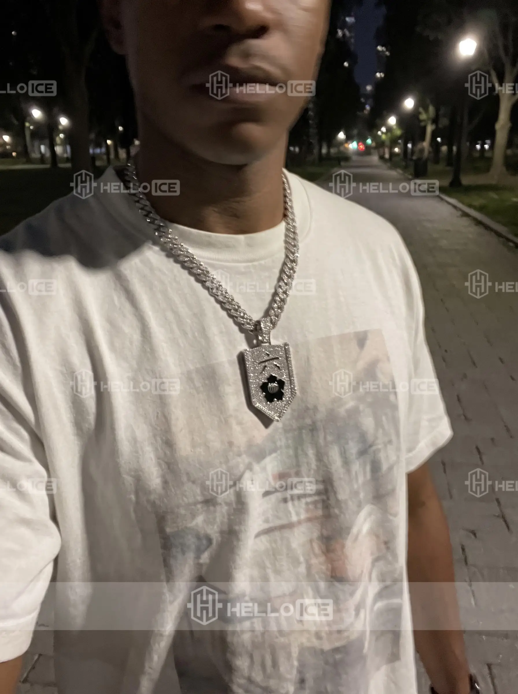 Helloice Review Image