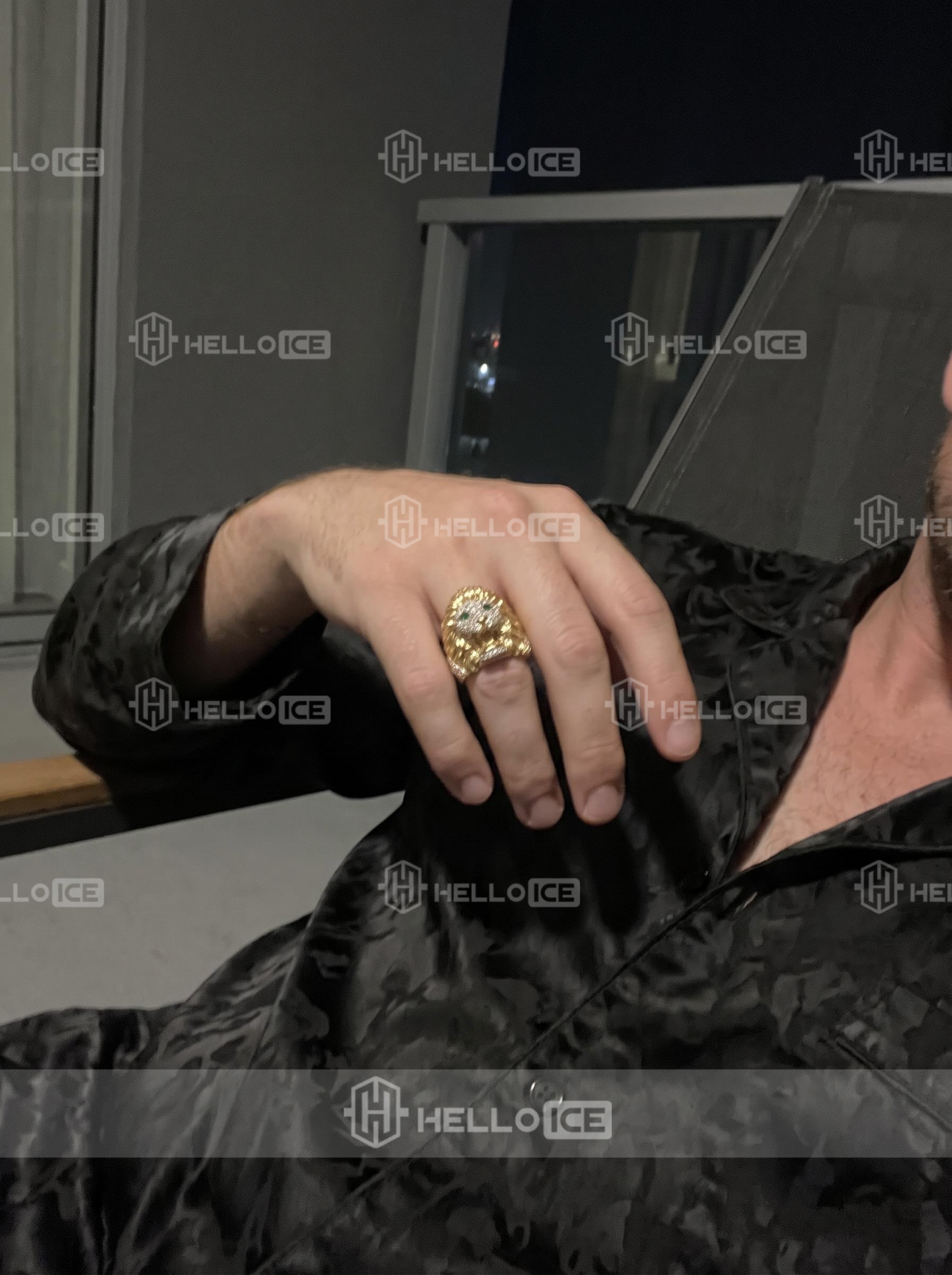 Helloice Review Image