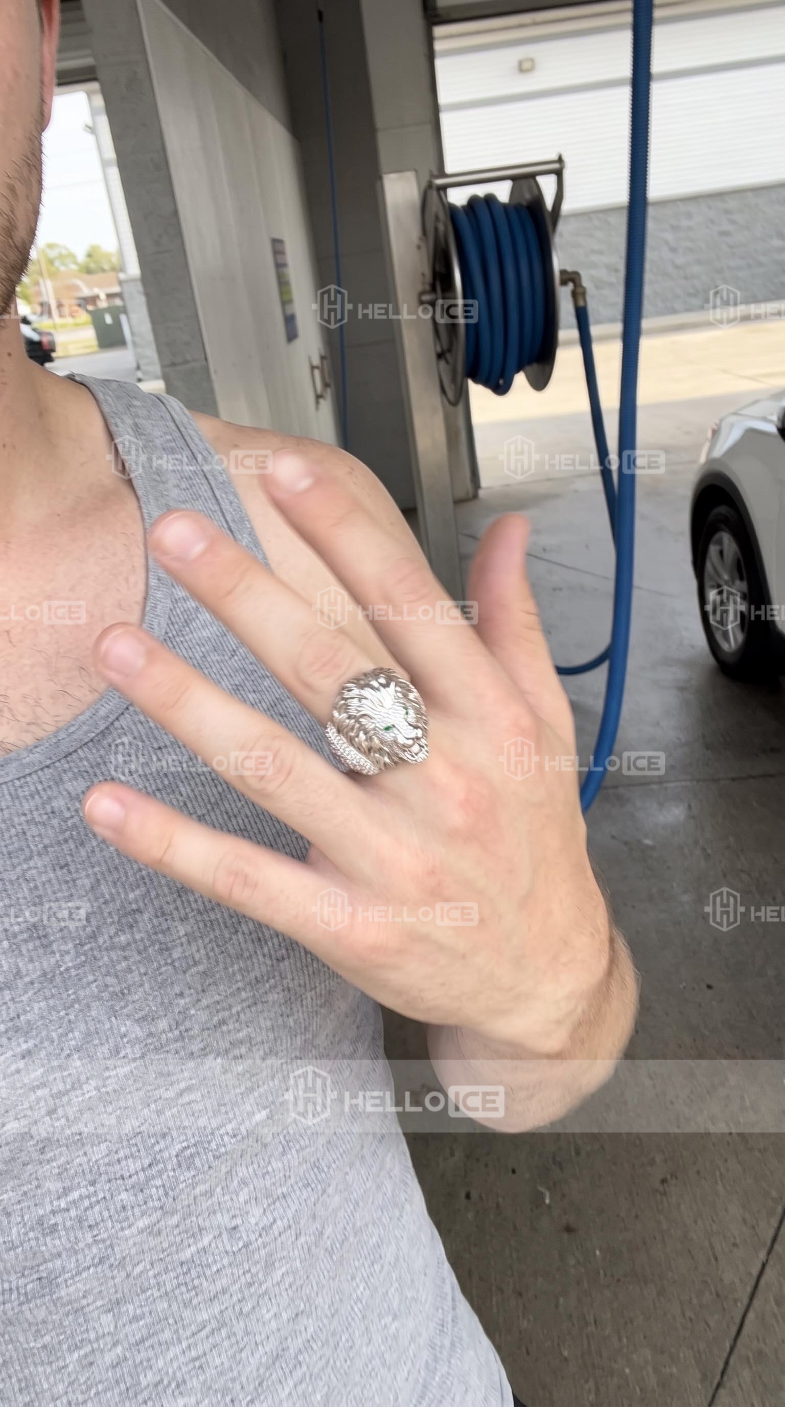 Helloice Review Image
