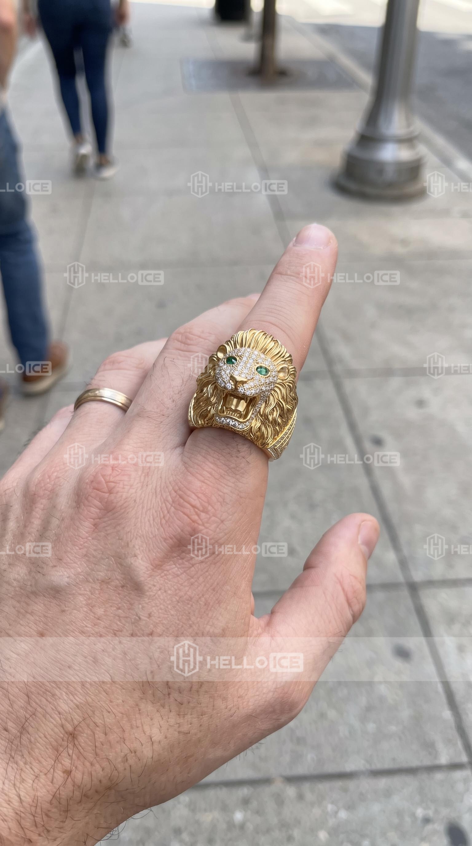 Helloice Review Image