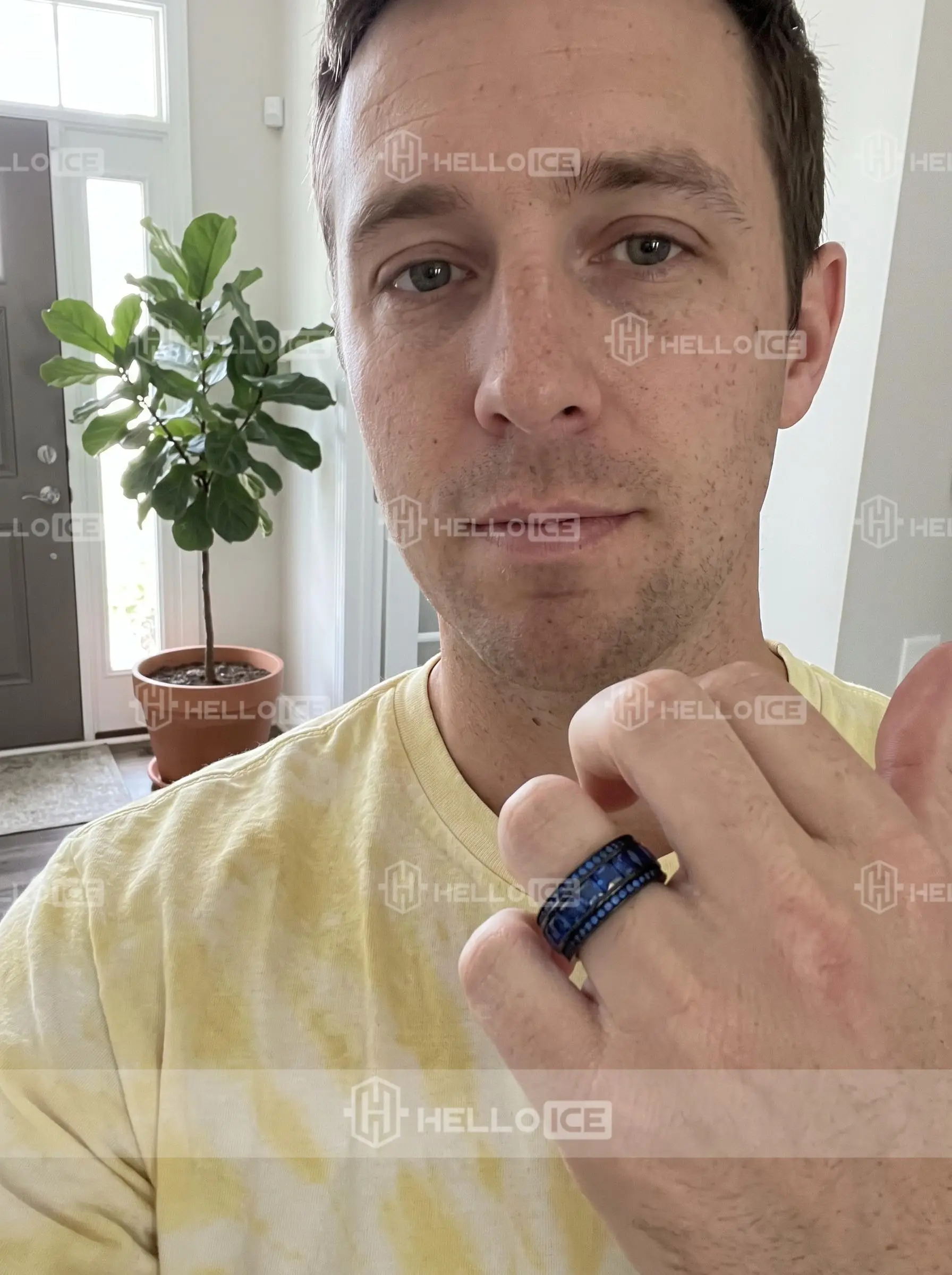 Helloice Review Image