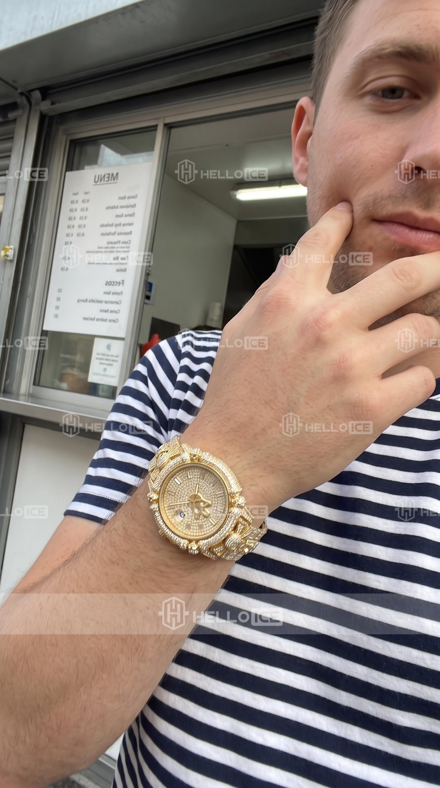 Helloice Review Image
