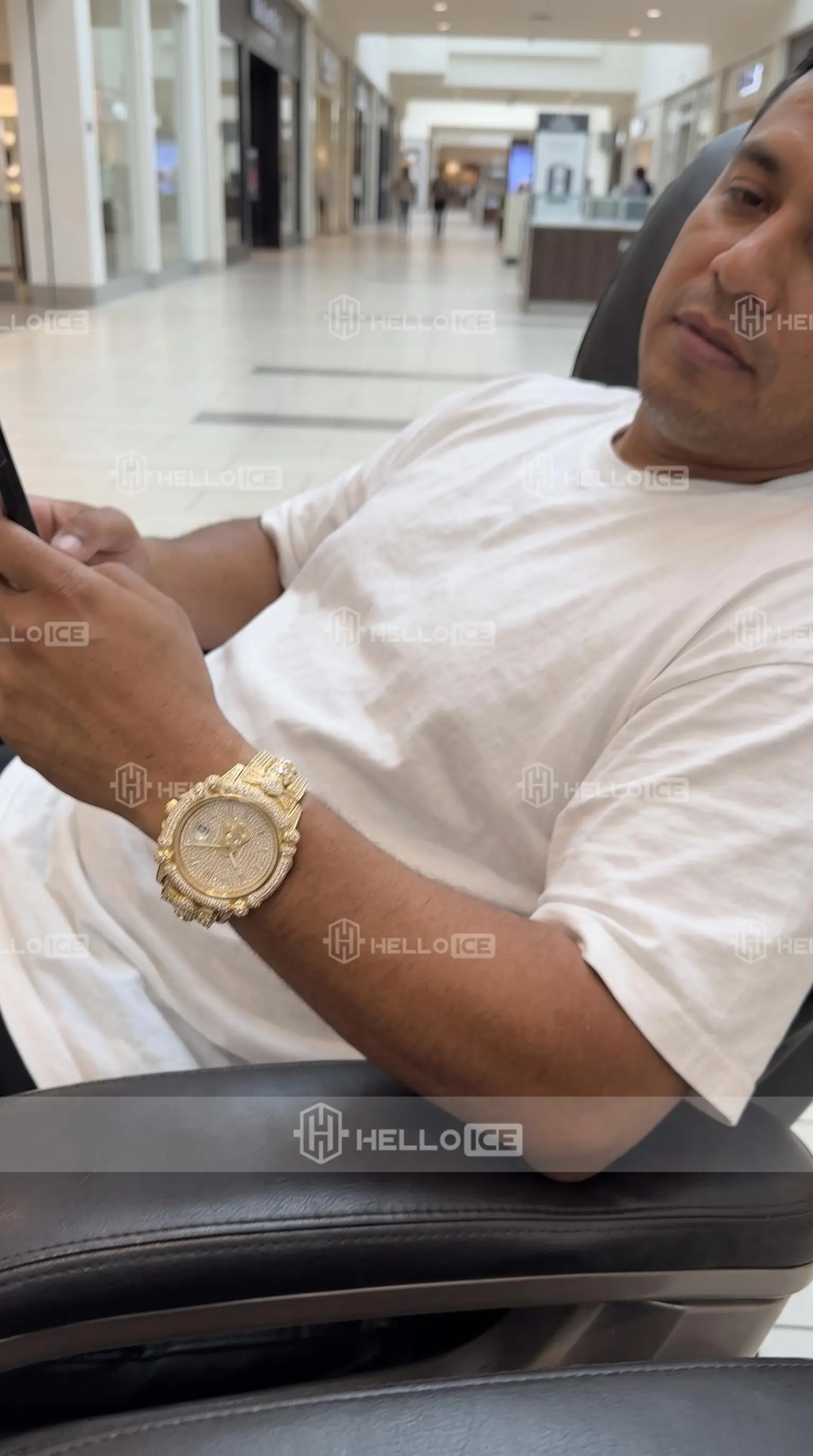 Helloice Review Image