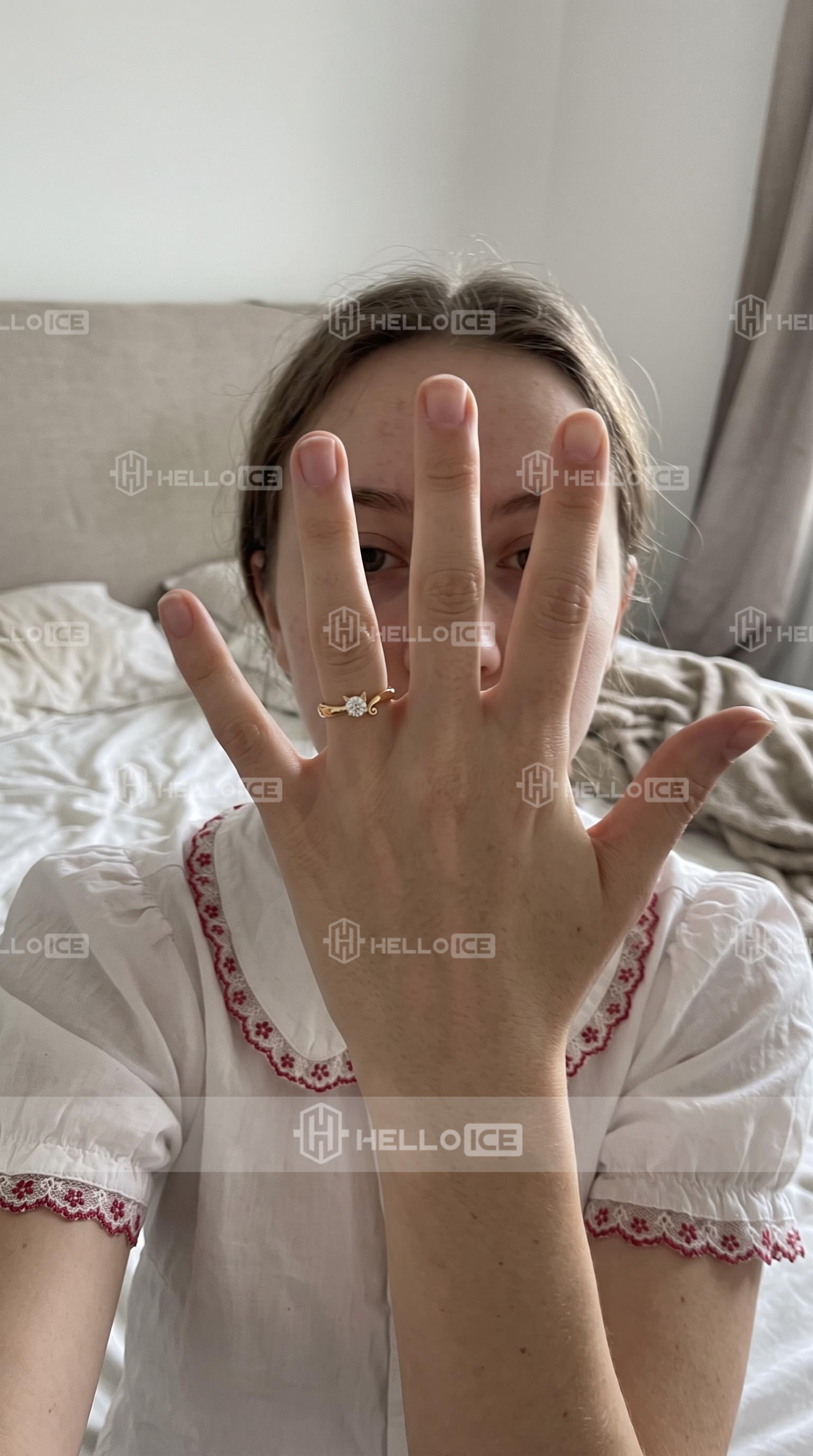 Helloice Review Image