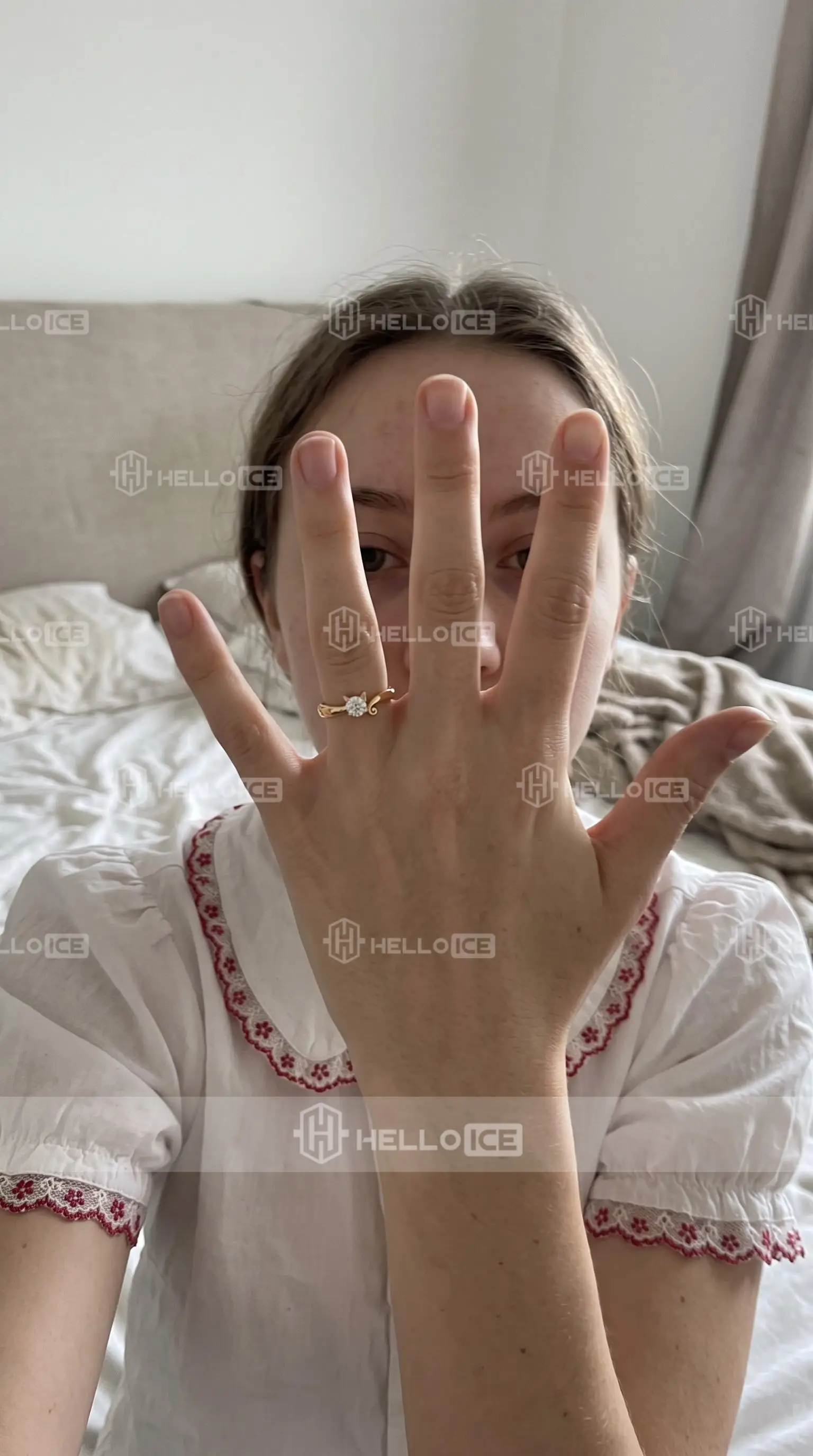 Helloice Review Image