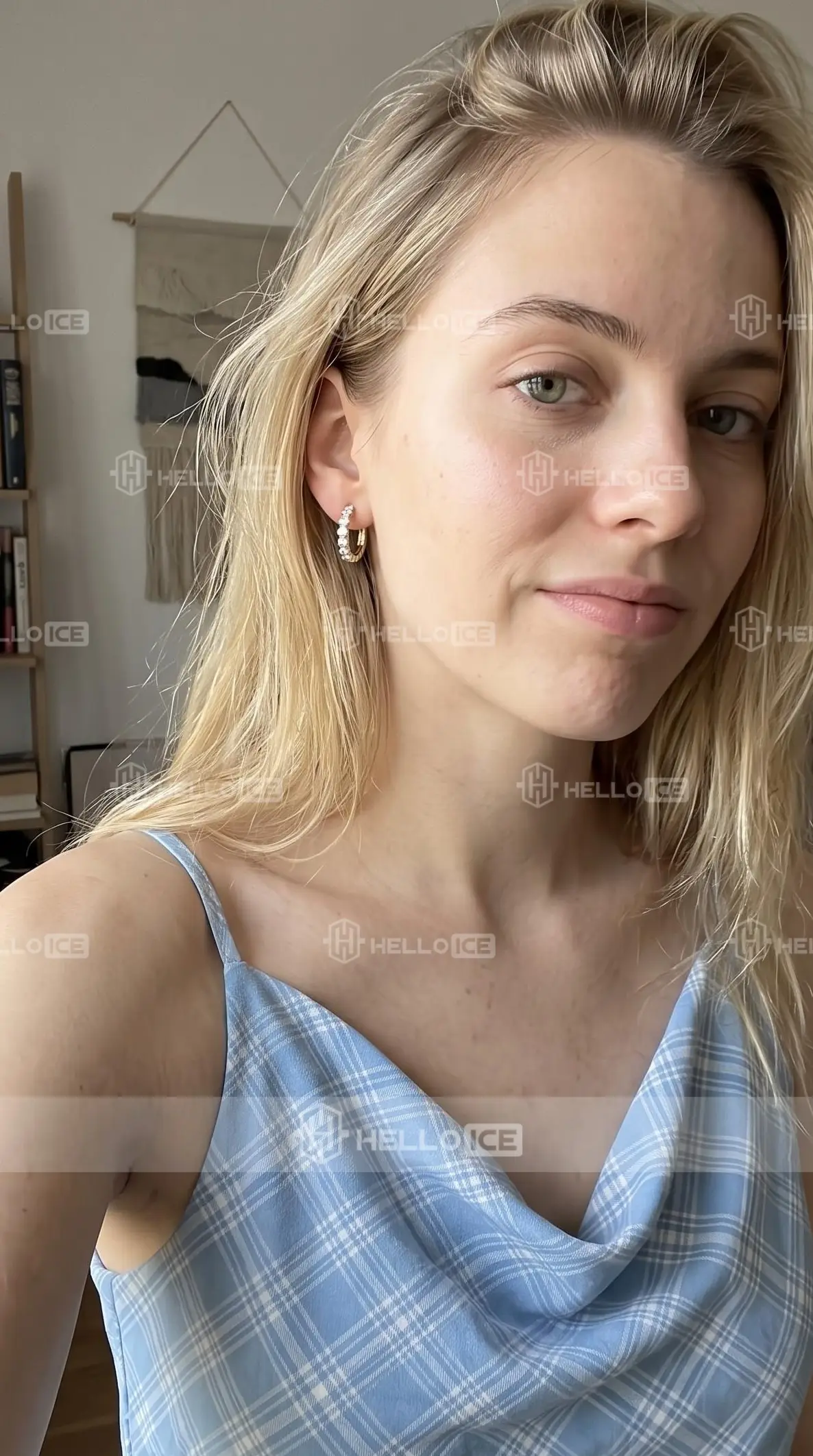 Helloice Review Image