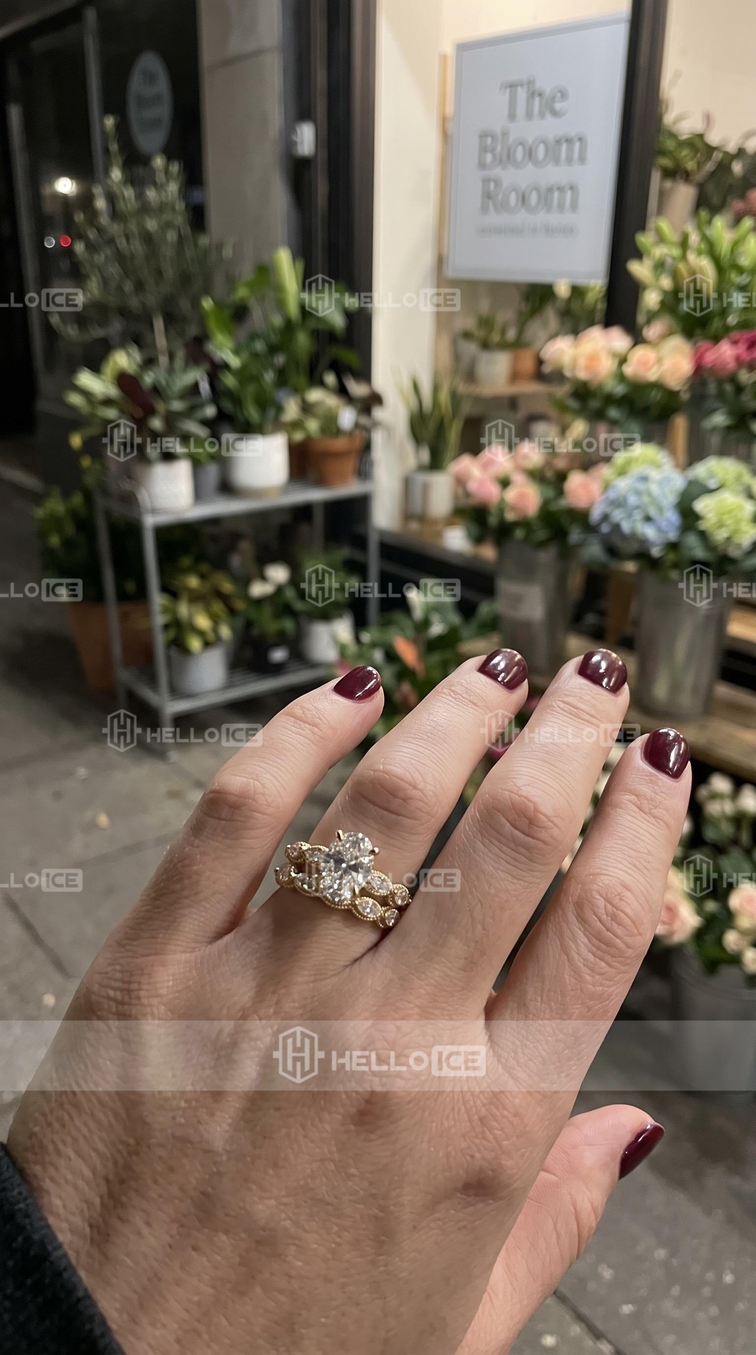 Helloice Review Image