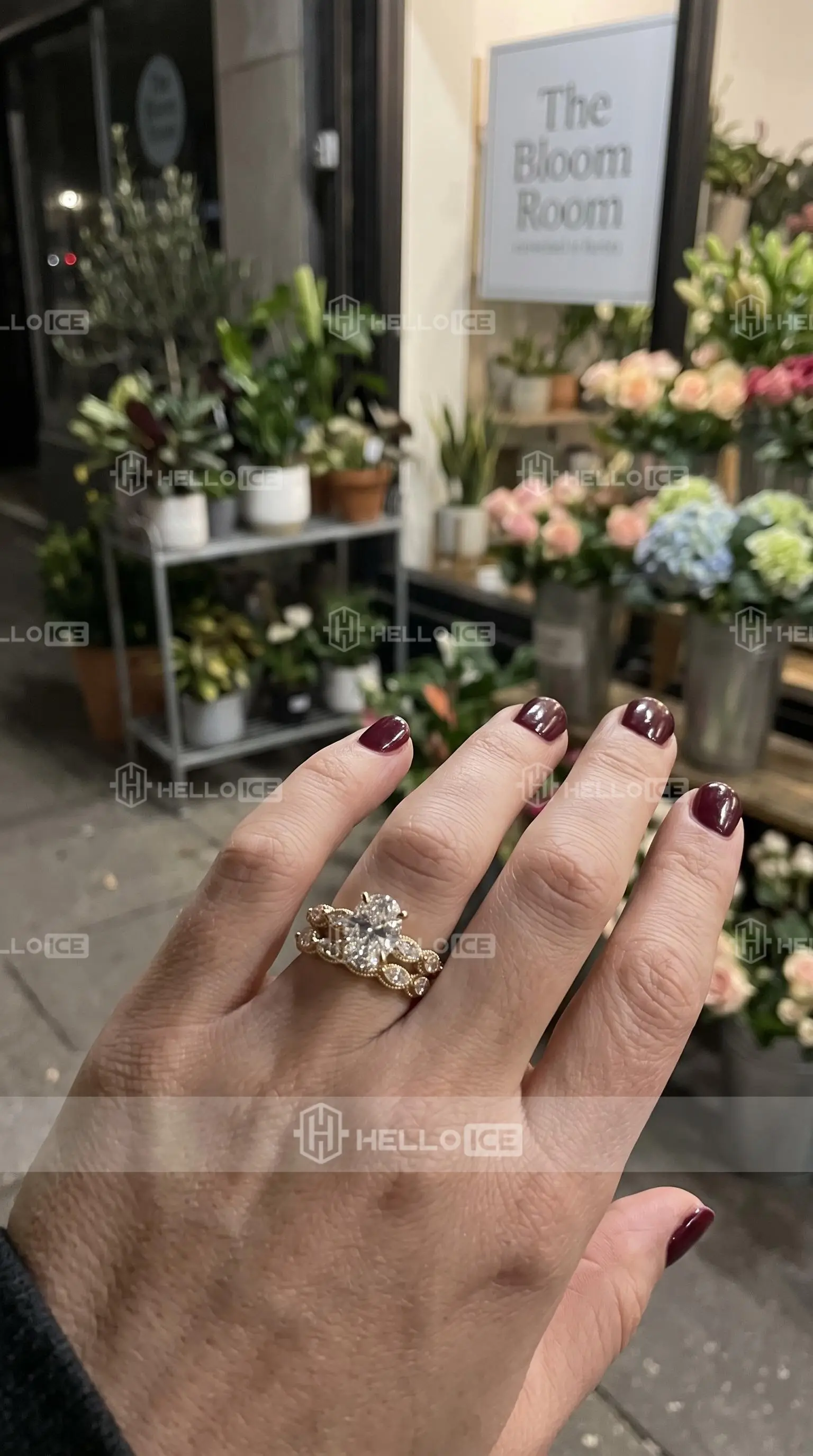 Helloice Review Image