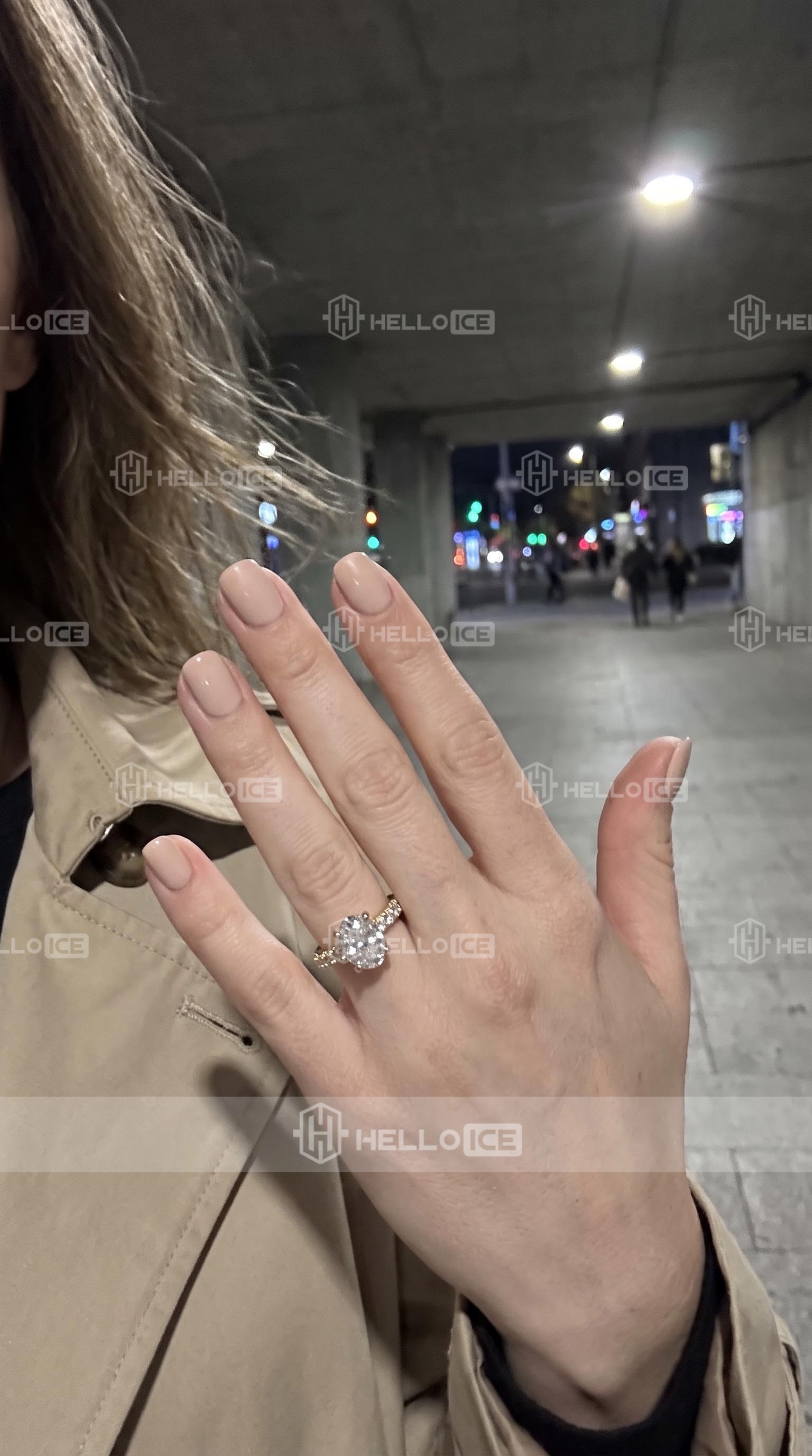 Helloice Review Image