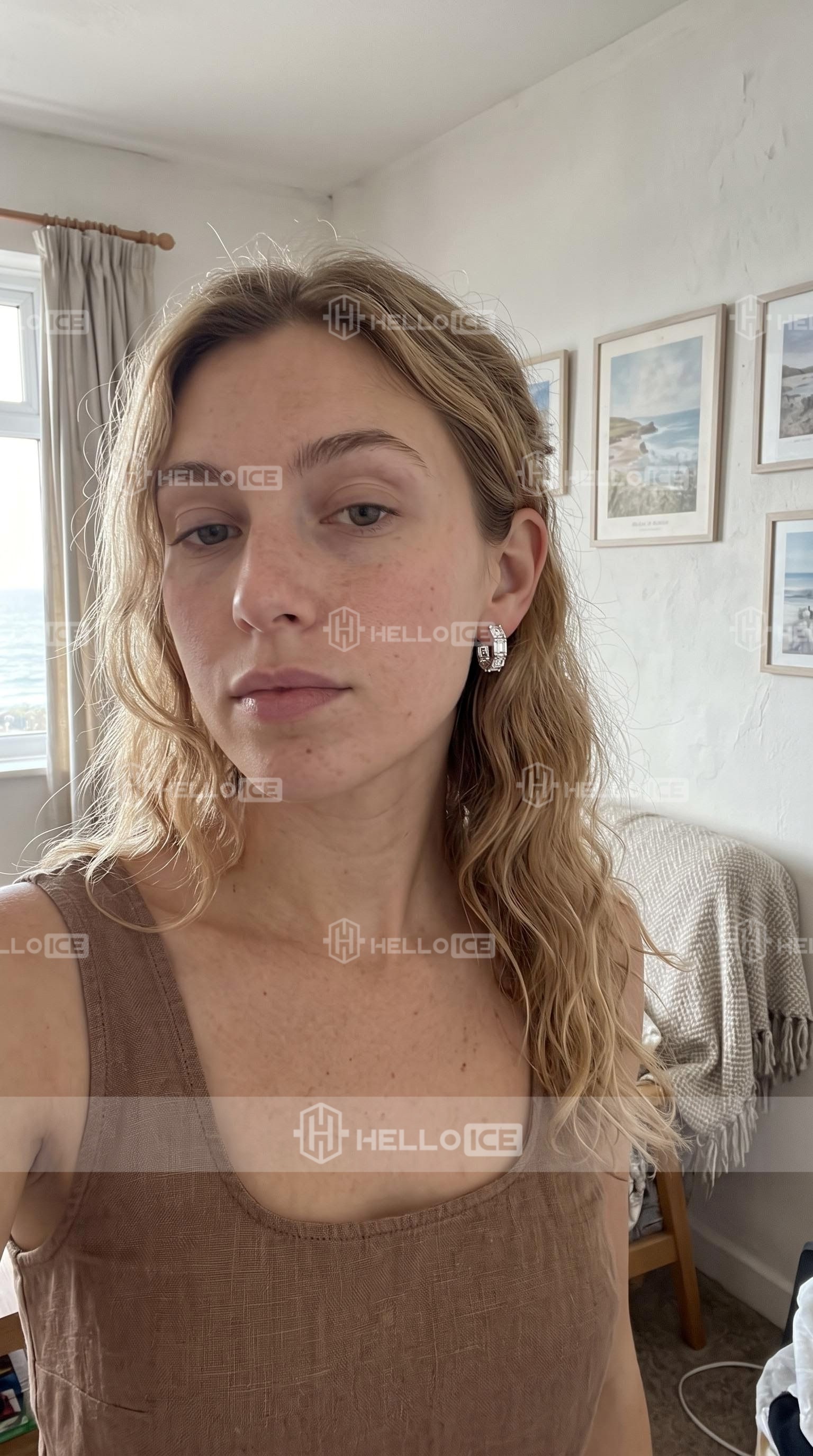 Helloice Review Image