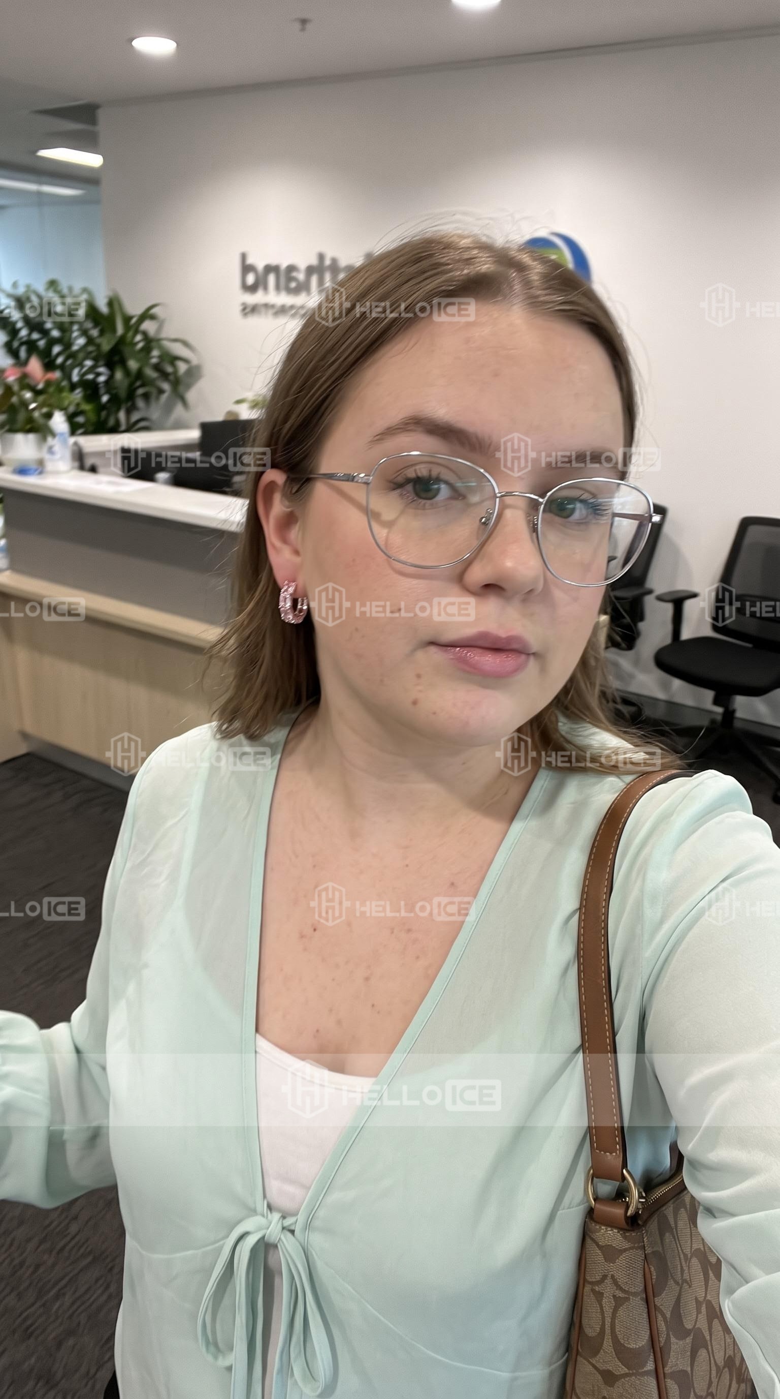 Helloice Review Image