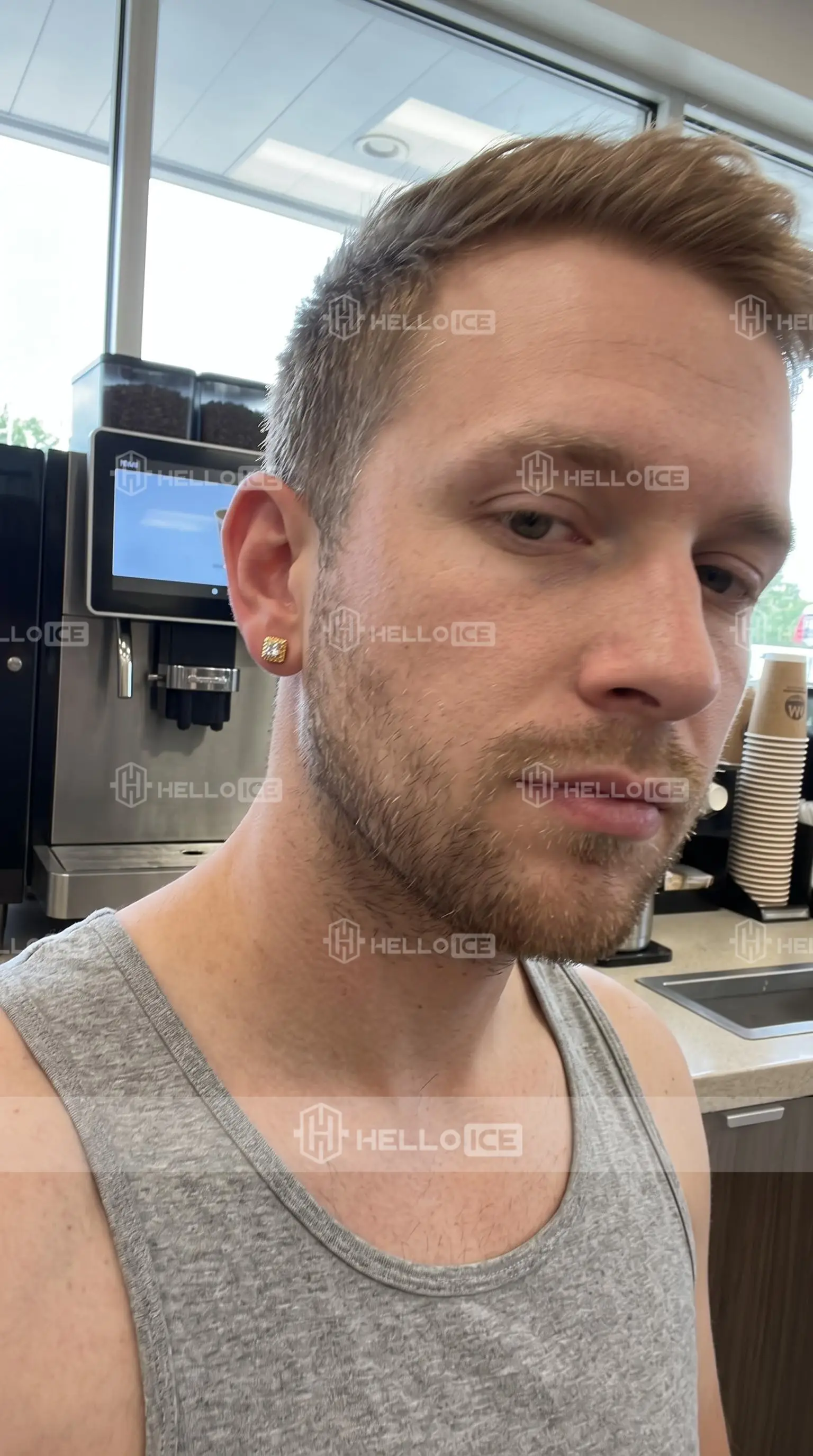 Helloice Review Image