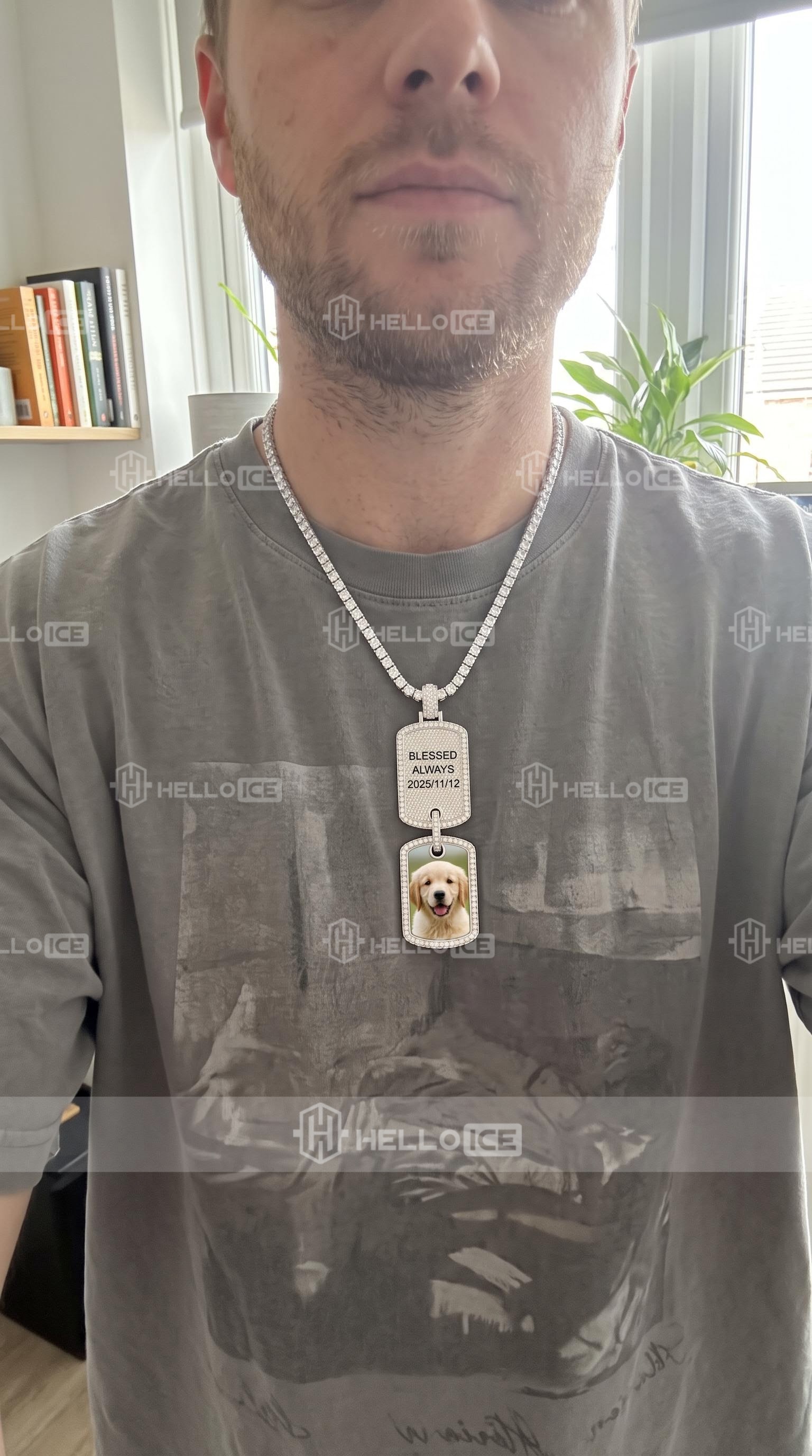 Helloice Review Image